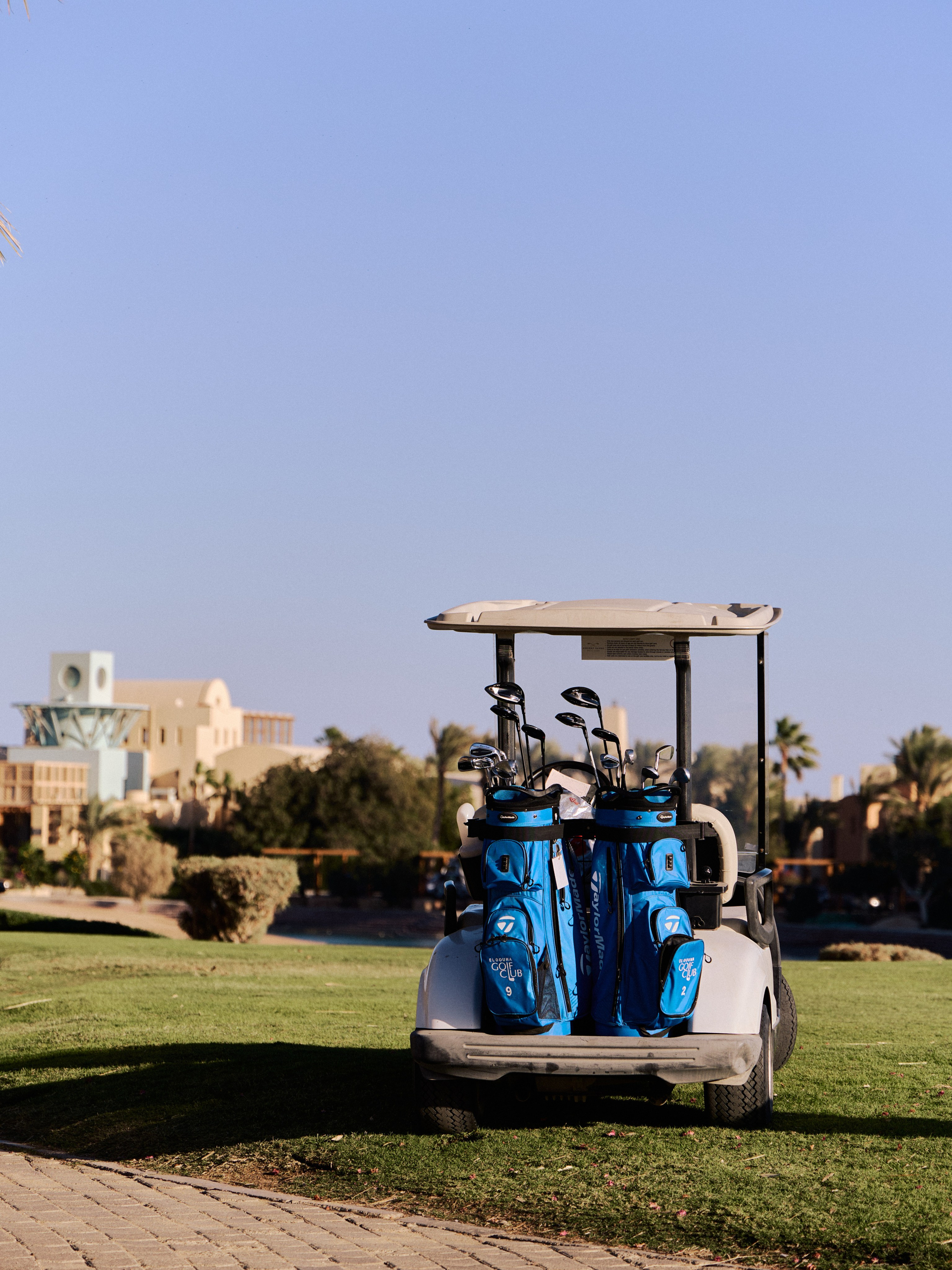 Другое 3. Jorgis — фотограф в Хургаде / обучение фотографии