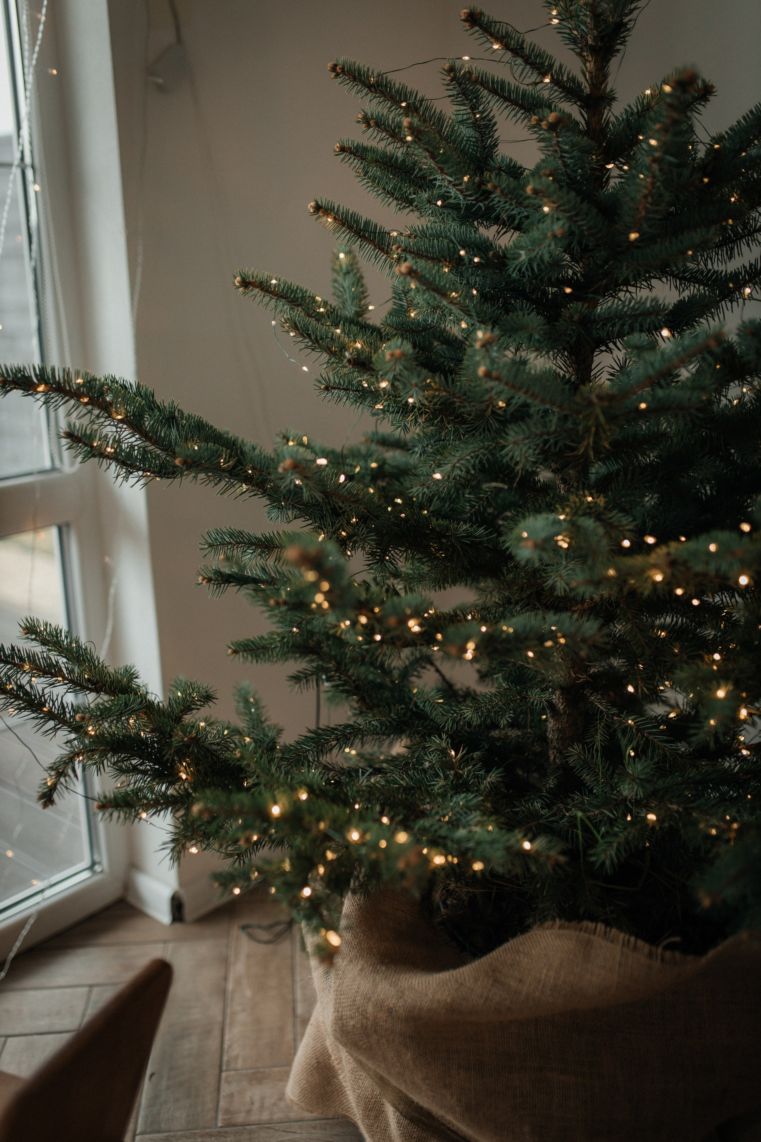 Юля, Даниил и Глебушка. Семейный фотограф и фотограф на роды в Ростове-на-Дону Мухина Виктория