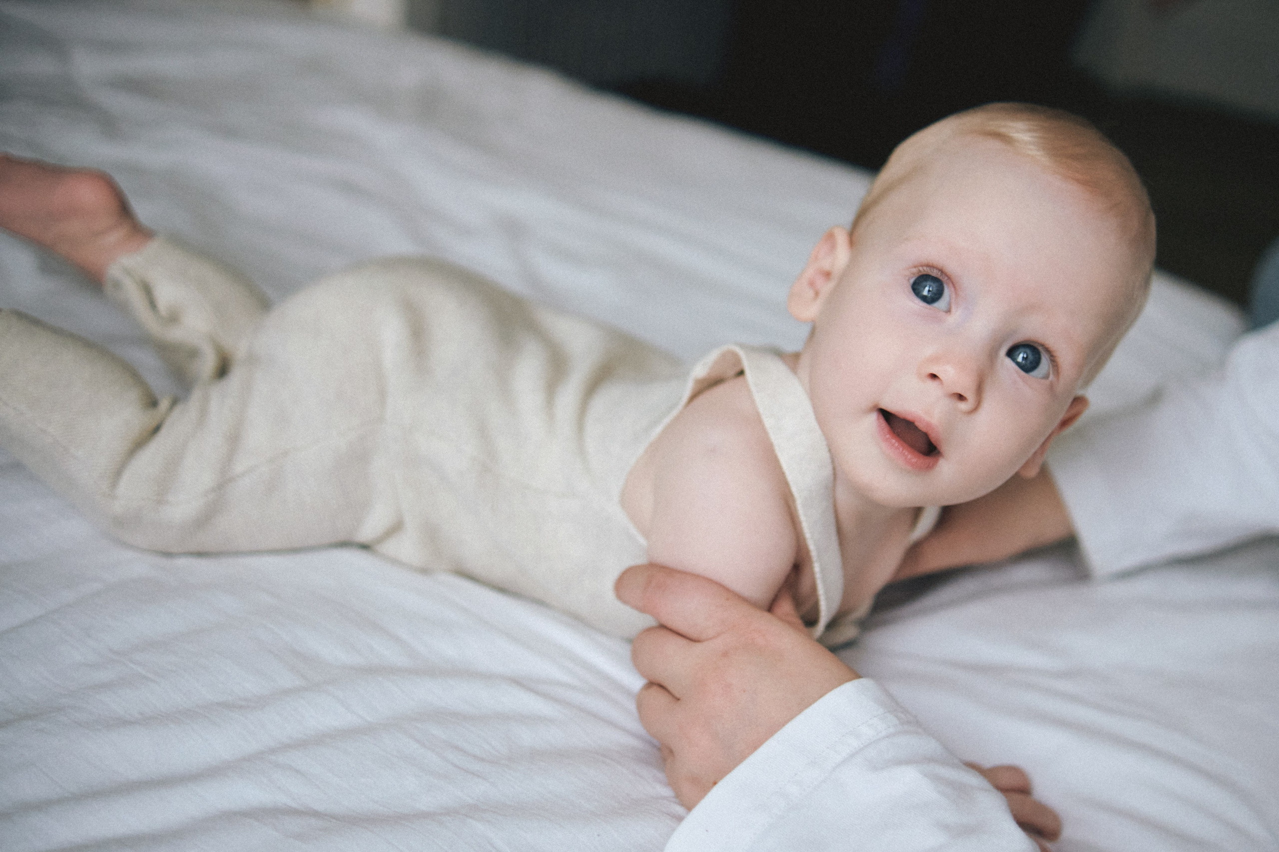 Семья. SHILOVA PHOTO. Шилова Екатерина. Фотограф. Москва