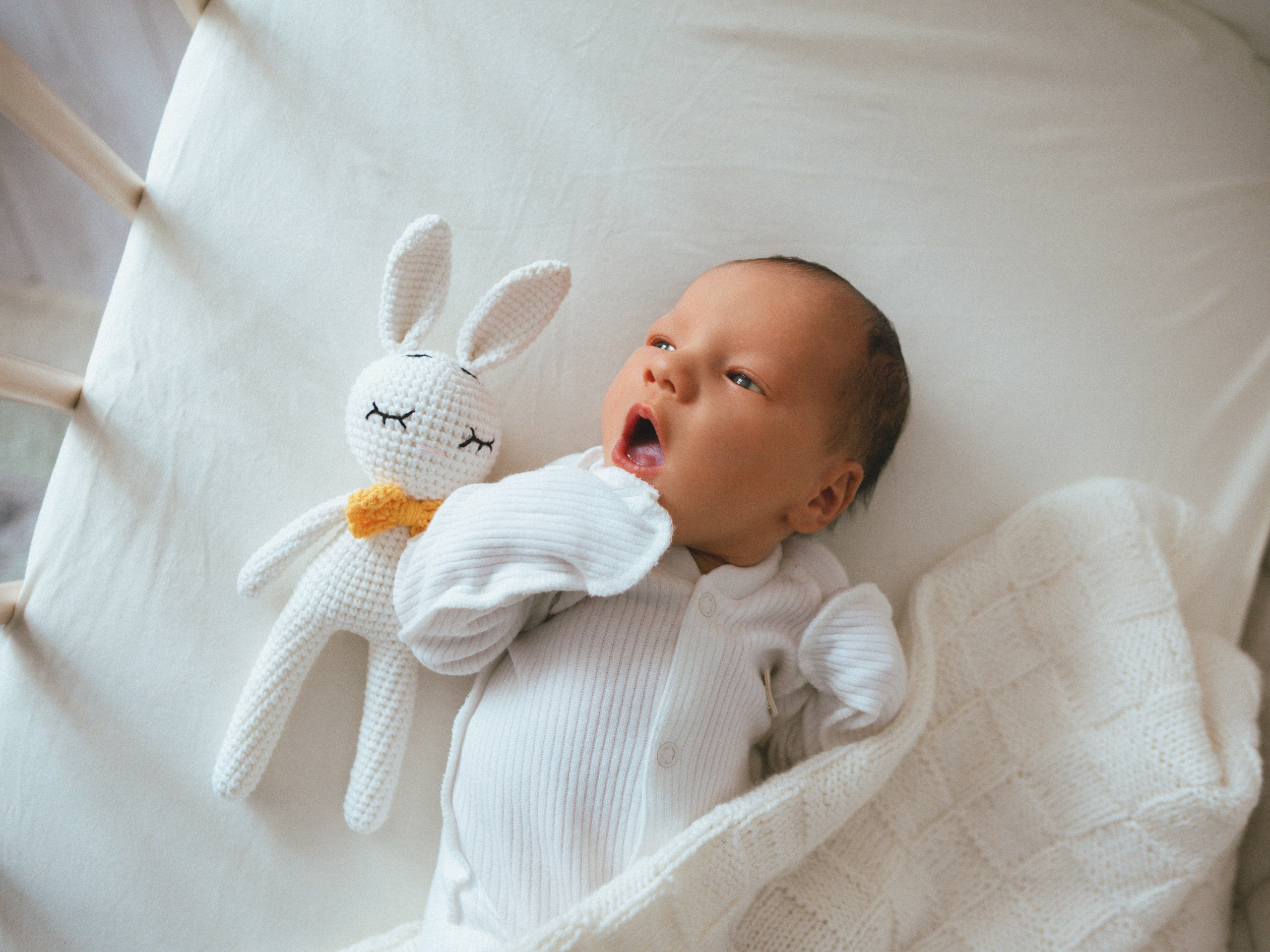 Мироша. SHILOVA PHOTO. Шилова Екатерина. Фотограф. Москва