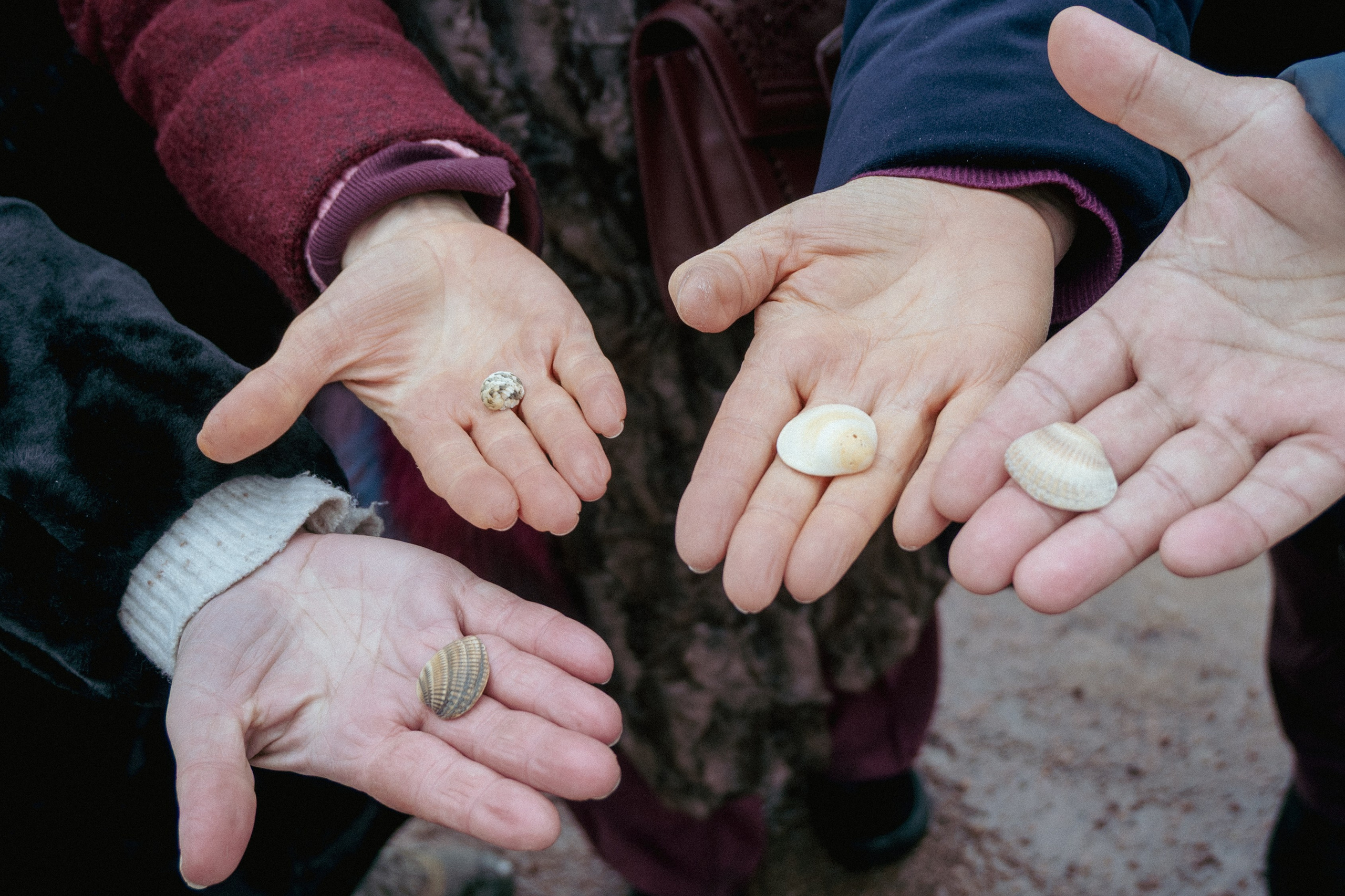 НИНА КОЧЕТКОВА. П&П — Полезное с Приятным. Фотоэкскурсии — Москва на память. Экскурсовод и фотограф в Москве. Увези столицу в своём альбоме!