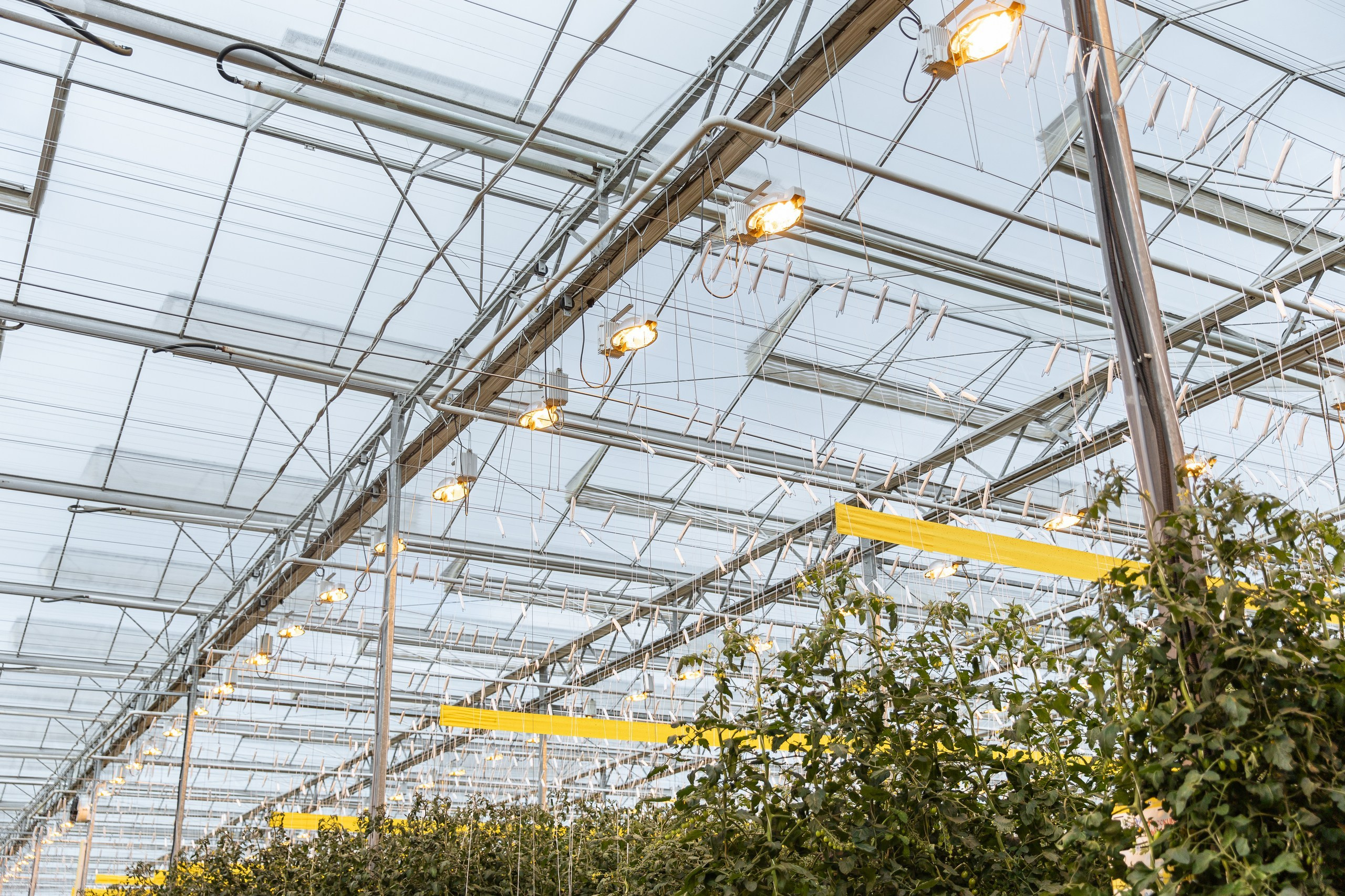 Производство. Фотограф Николай Петрушкин | Ставрополь, Москва