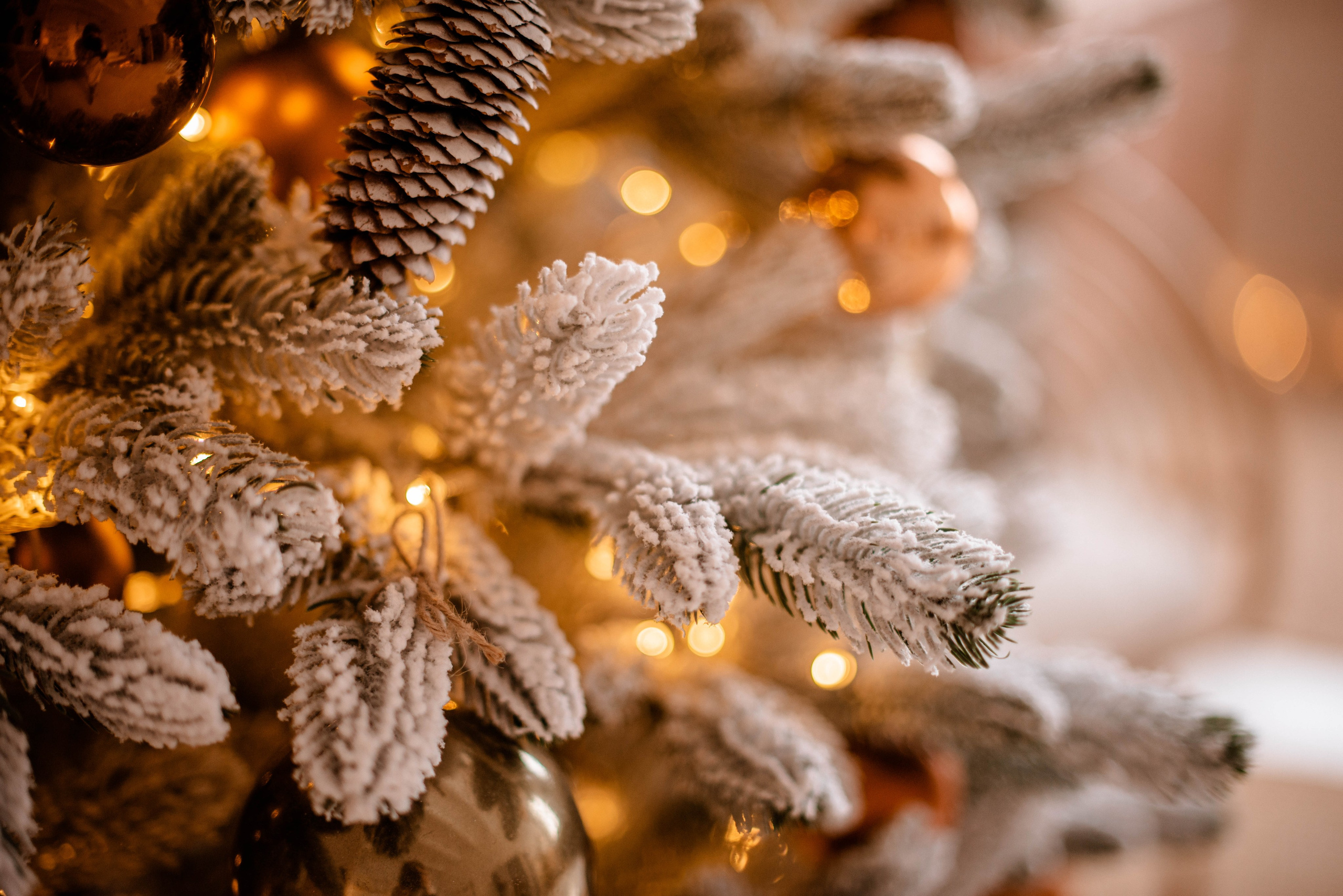 Семья. Свадебный Фотограф в Твери Анастасия Булкина