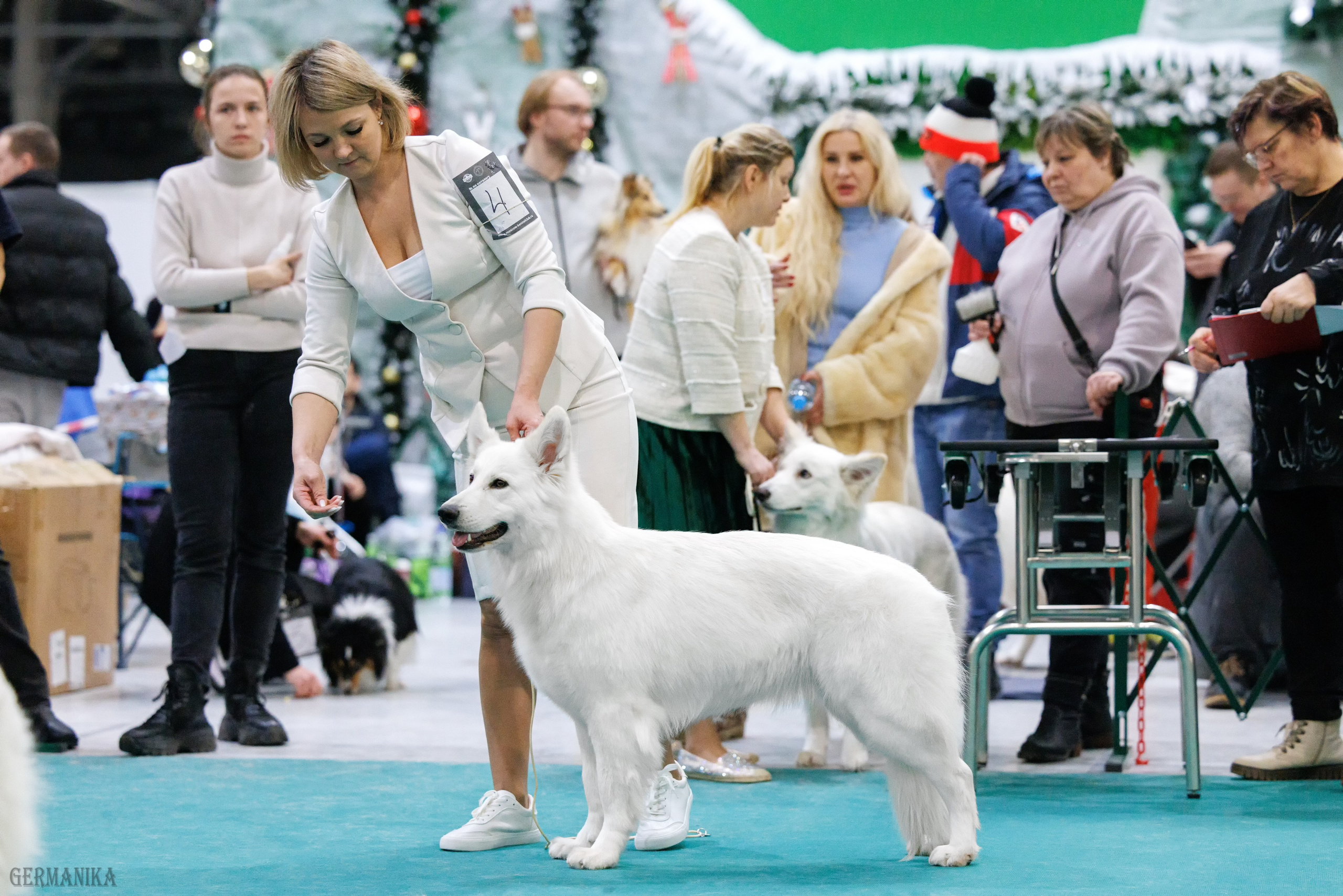 Крокус 10.02,Сфера 11.02.2024. Фотограф-анималист Юлия Германика