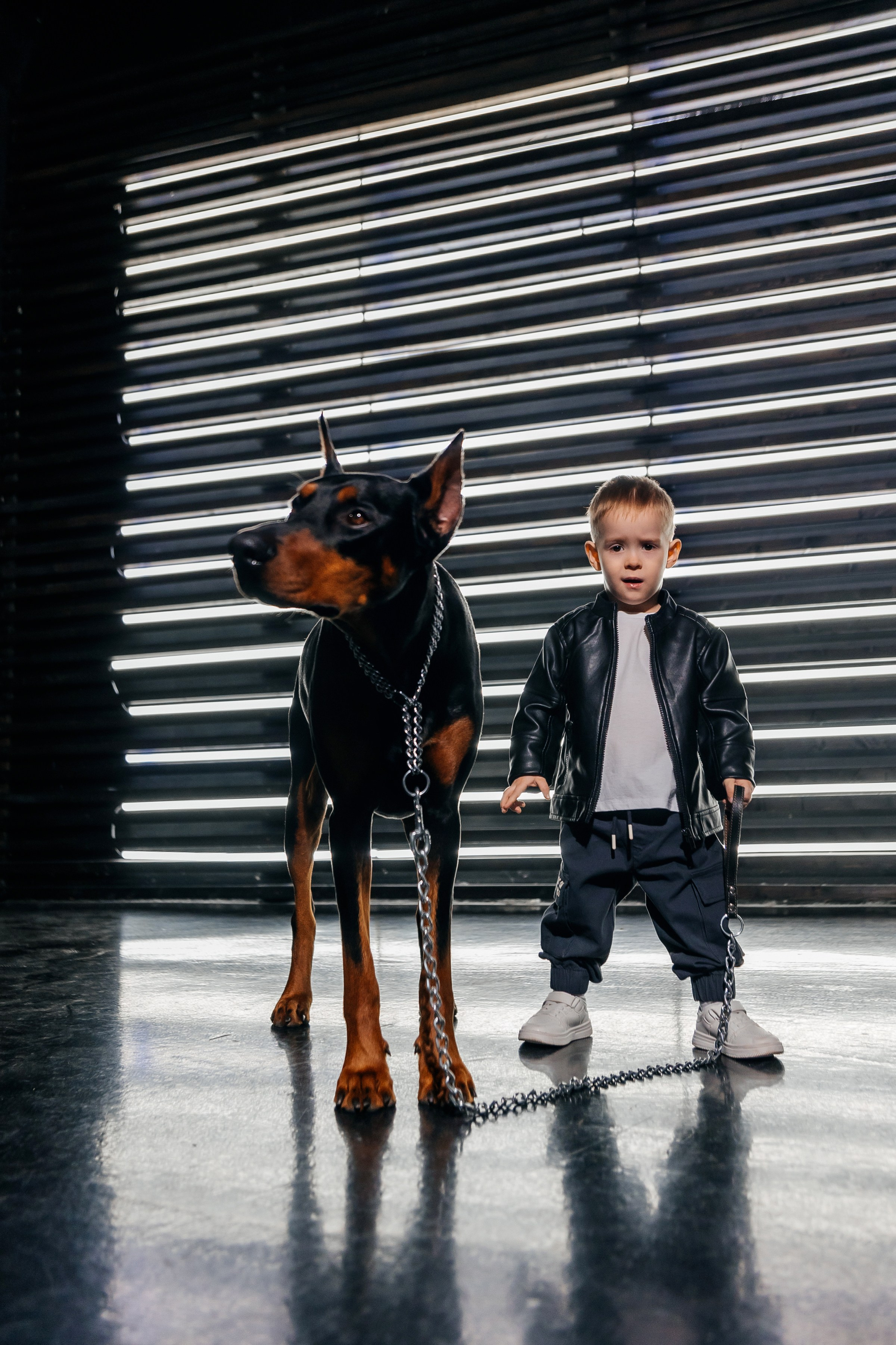 ДОБЕРМАН. Свадебный и семейный фотограф Динар Гильмутдинов