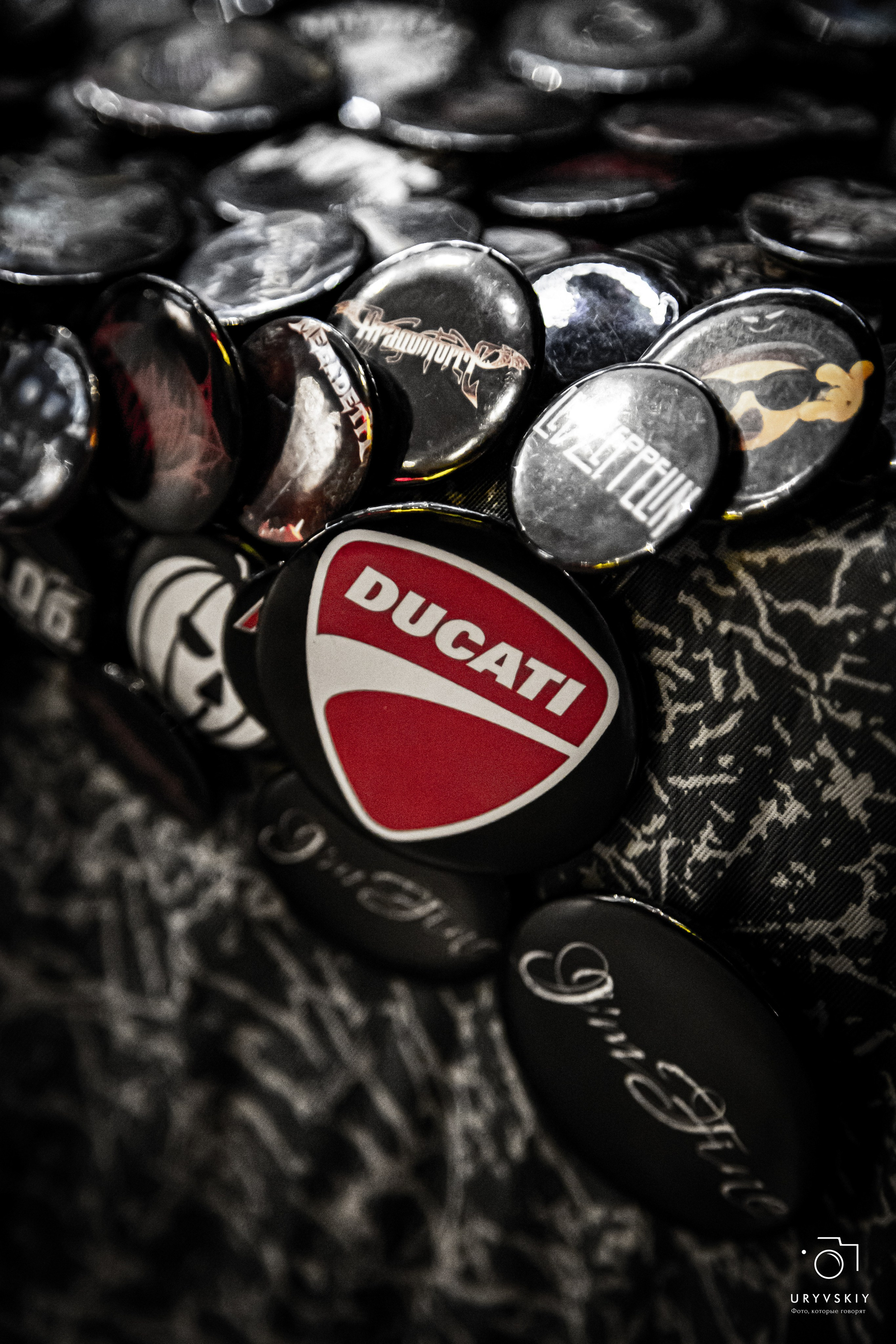 Рок фестиваль «НОВЫЕ фест». Игорь Урывский. Фотограф Красноярск