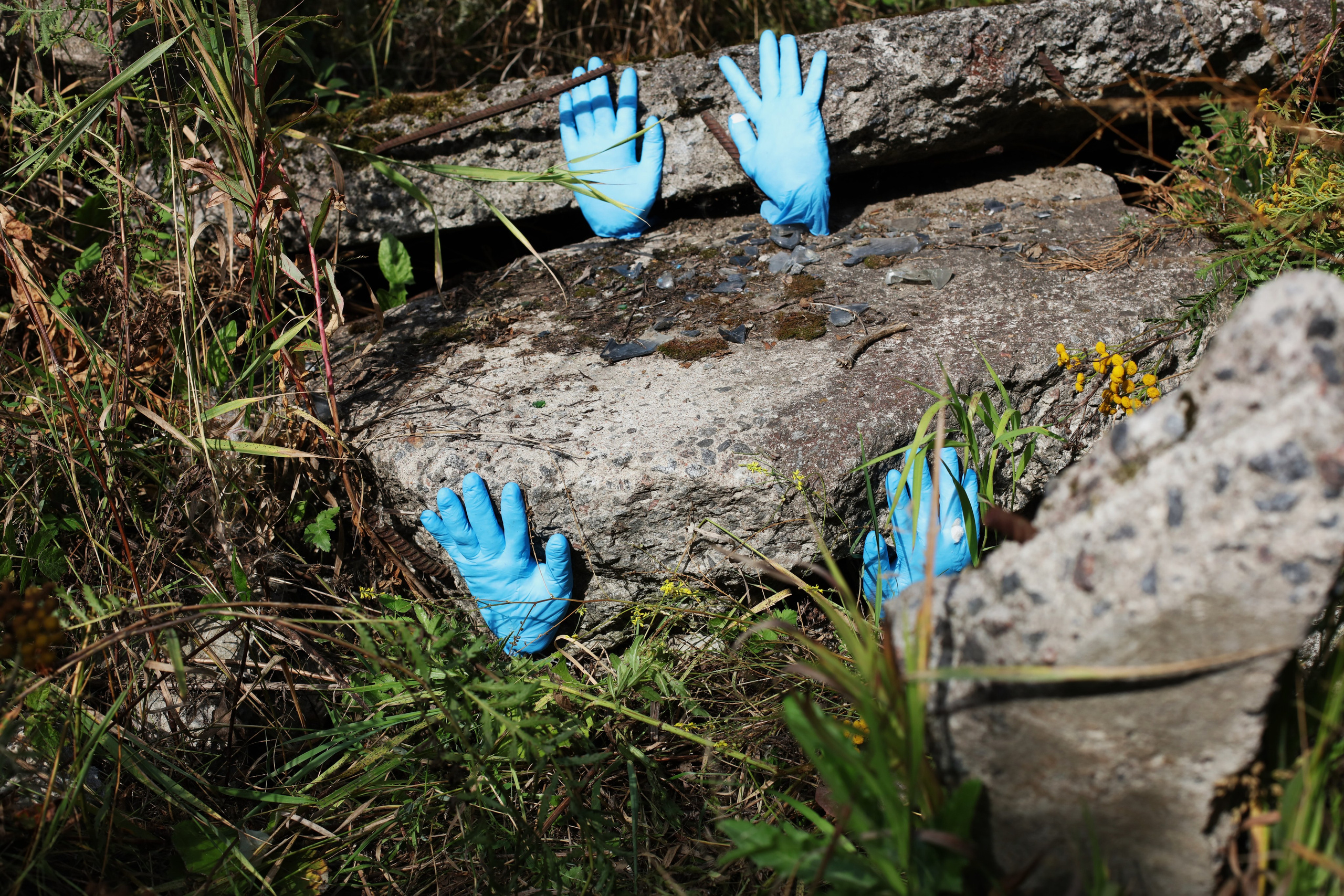 Красненькая биеннале 2023 (СПБ)