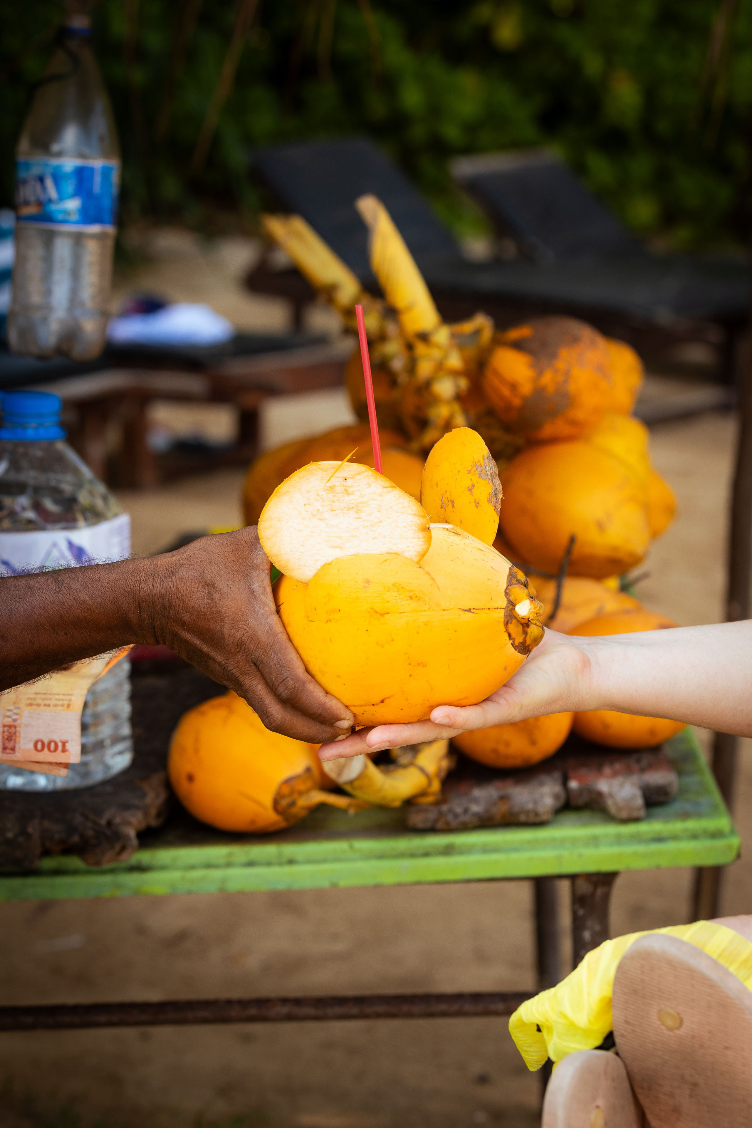 Шри-Ланка (весна 2024). Фотограф Виноградов Константин