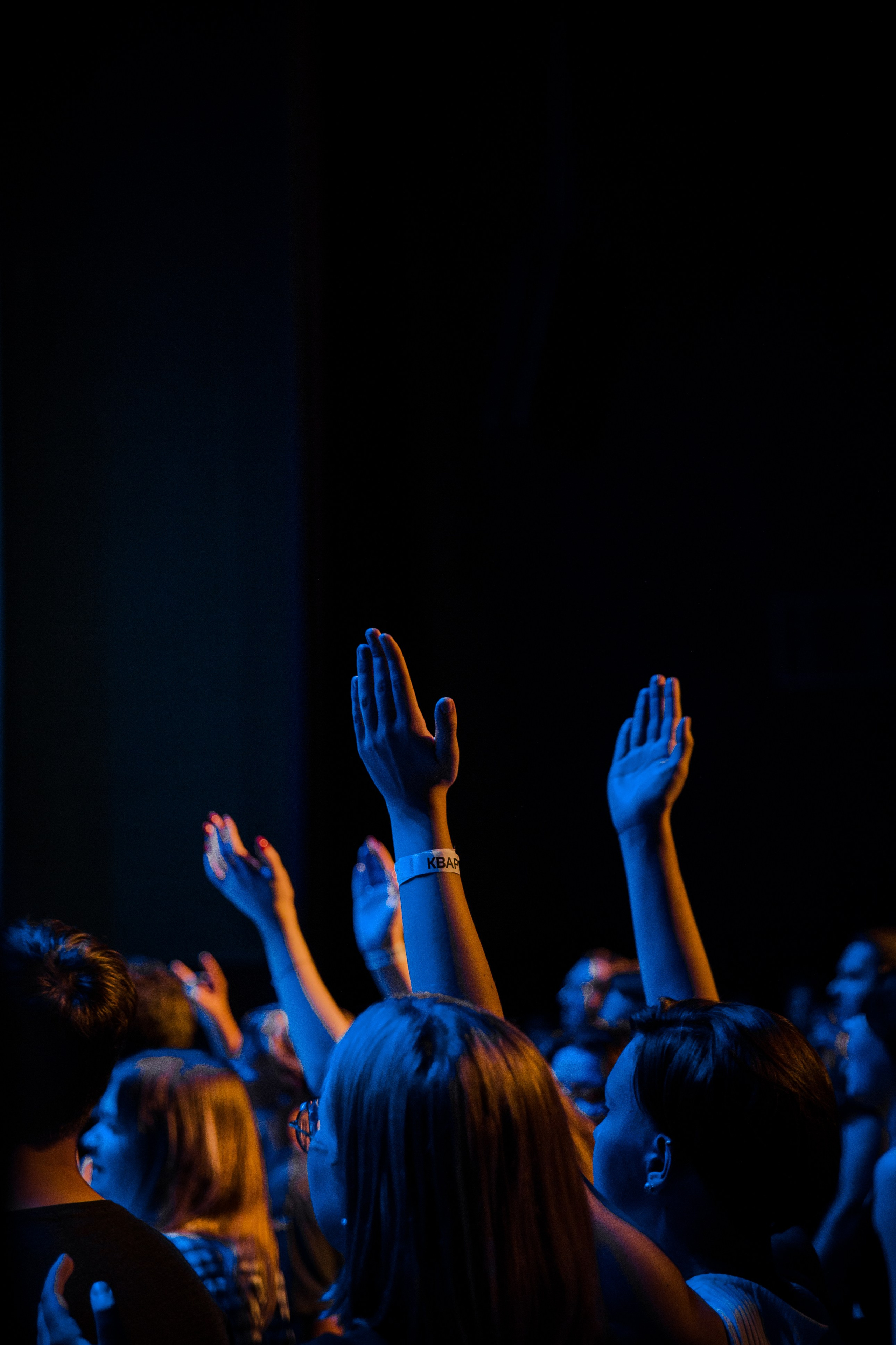 Трибьют-шоу Linkin Park. Фотограф и видеограф в Кургане Леонид Корнильев