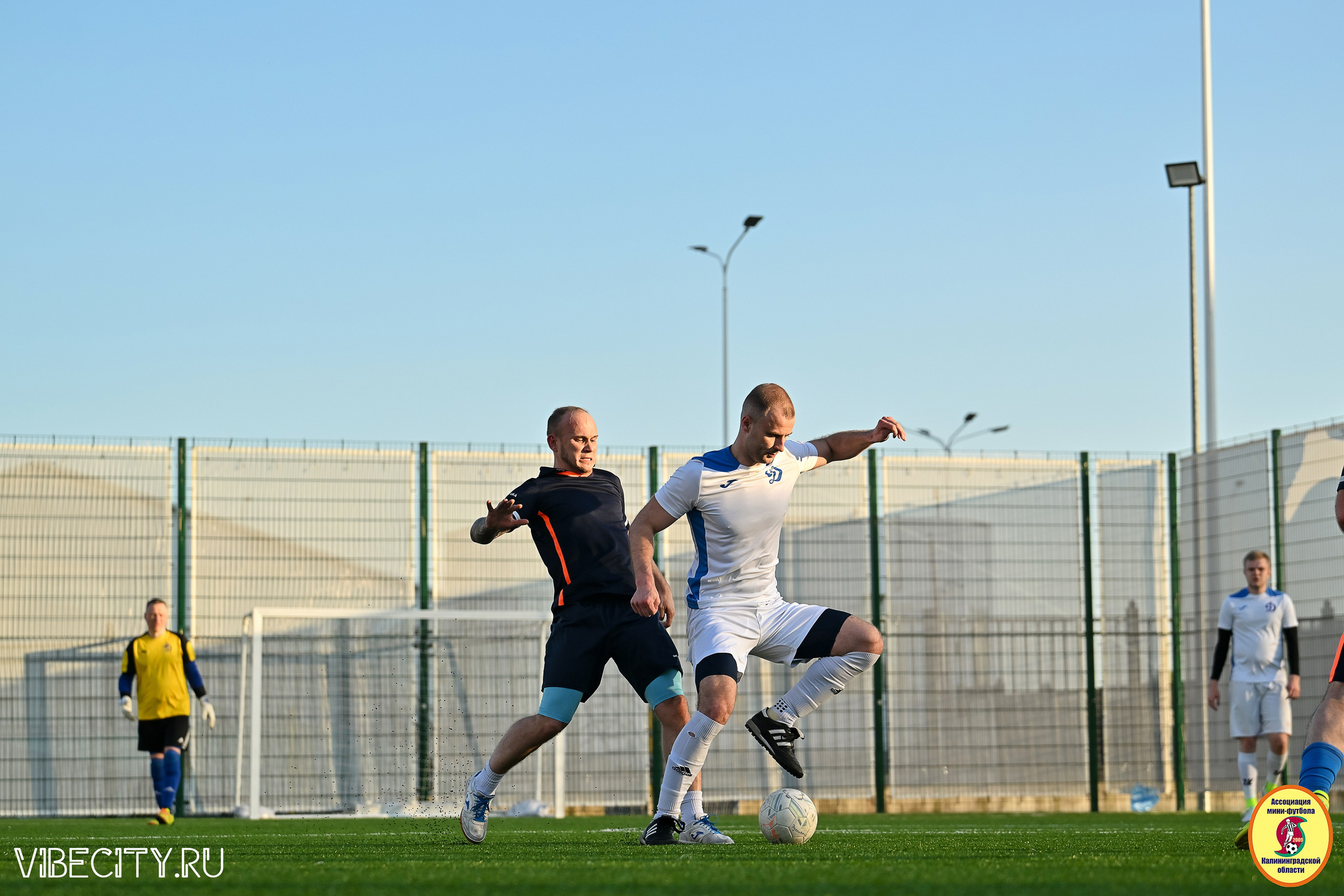 ИГРЫ МИНИ-ФУТБОЛЬНОЙ И КОРПОРАТИВНОЙ ЛИГИ. VIBECITY.RU Вайб Сити Ру Фоторепортажи Фотоотчеты Калининград