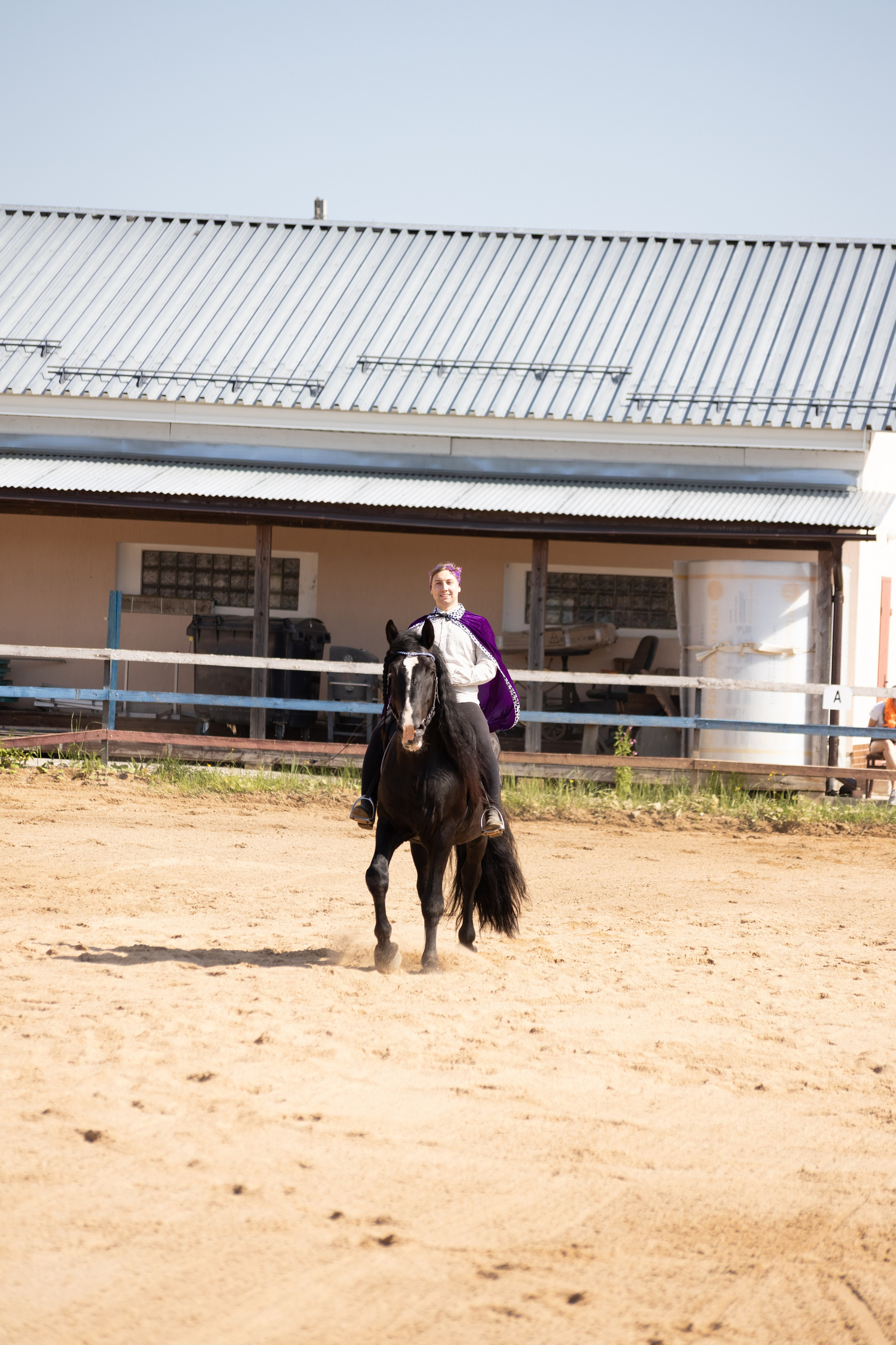 Конюшня. Фотограф в Москве и Истре