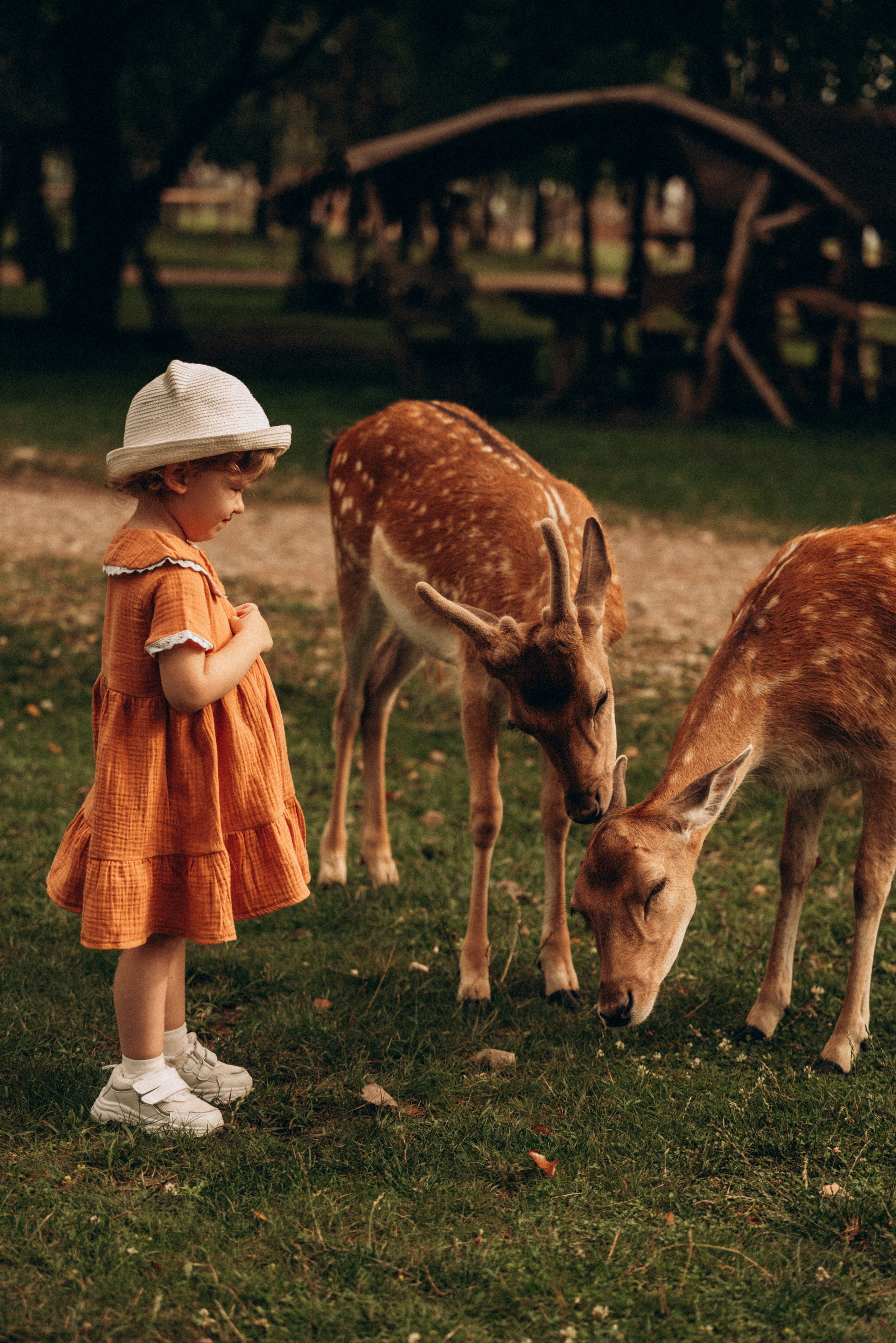Аришка. Фотограф Мария Миллс | Минск