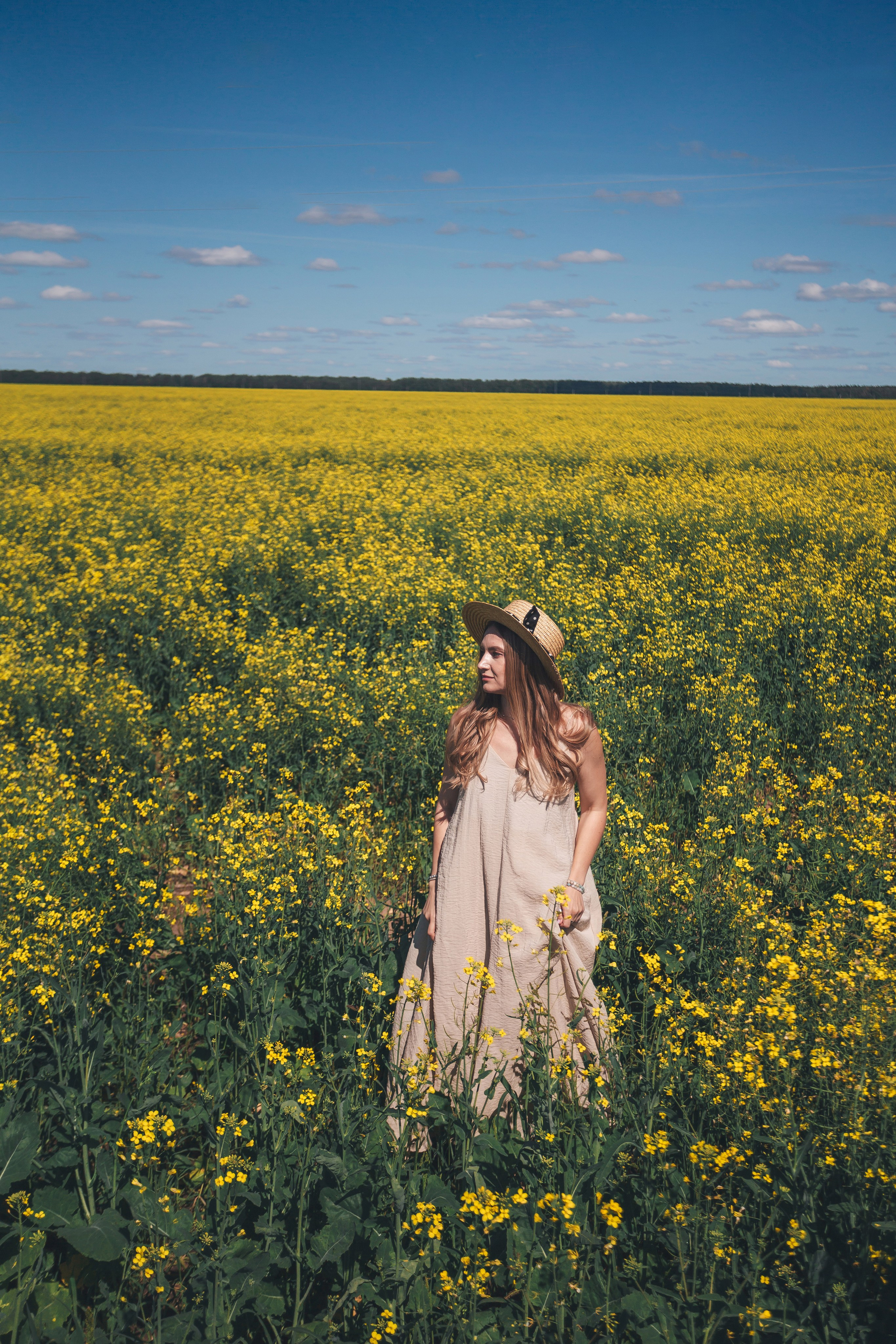 Рапсовое поле. Семейный и художественный фотограф в Тюмени Юлия Логинова