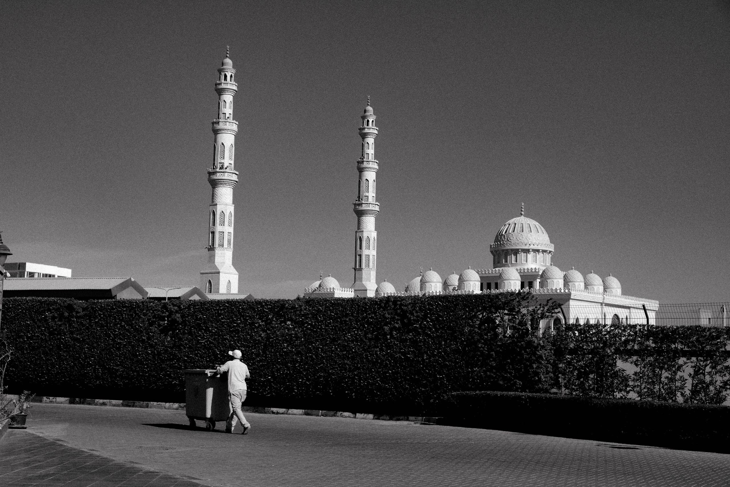 EGYPET. Фотограф в Челябинске Анастасия Синягина