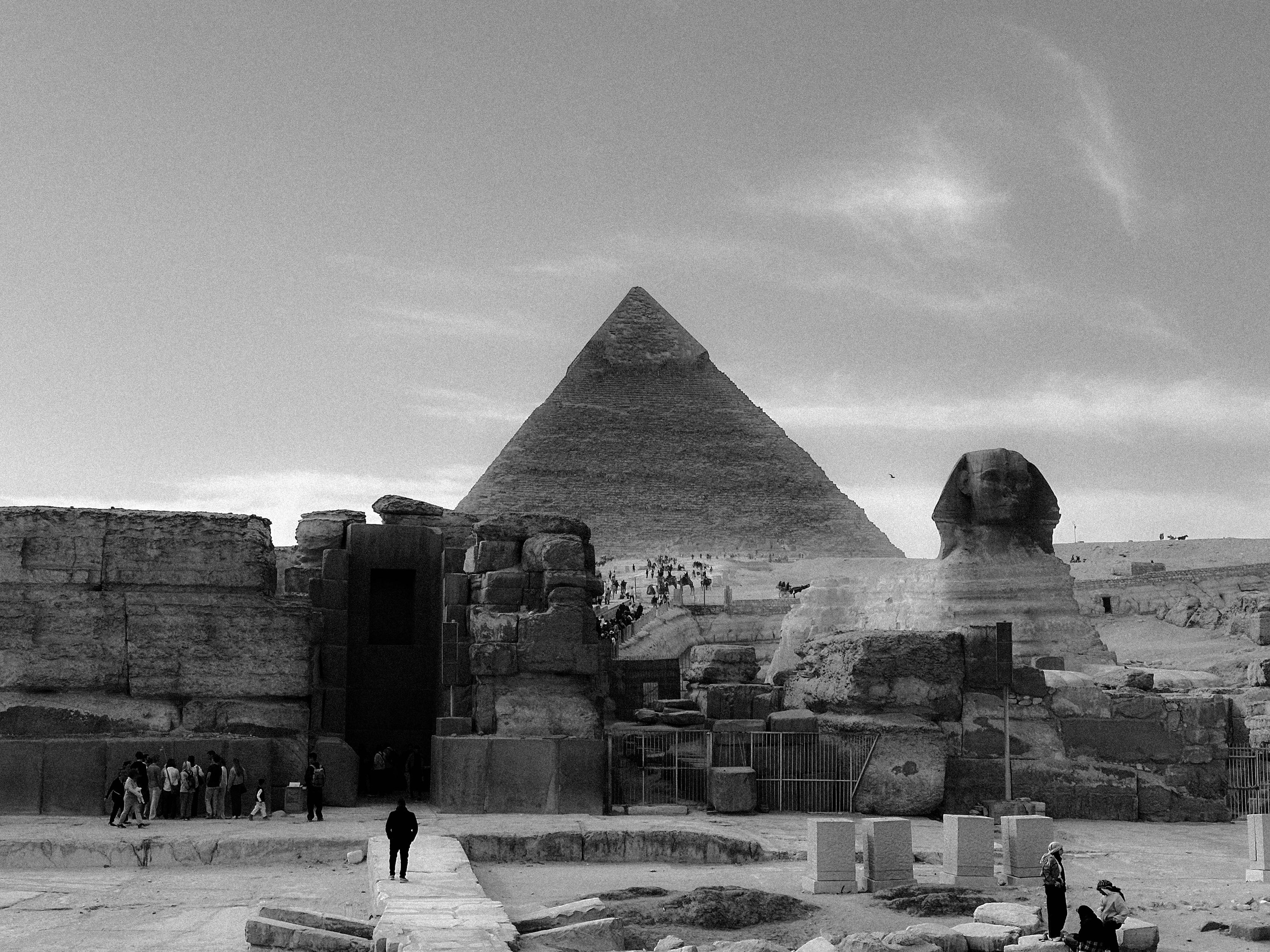 EGYPET. Фотограф в Челябинске Анастасия Синягина