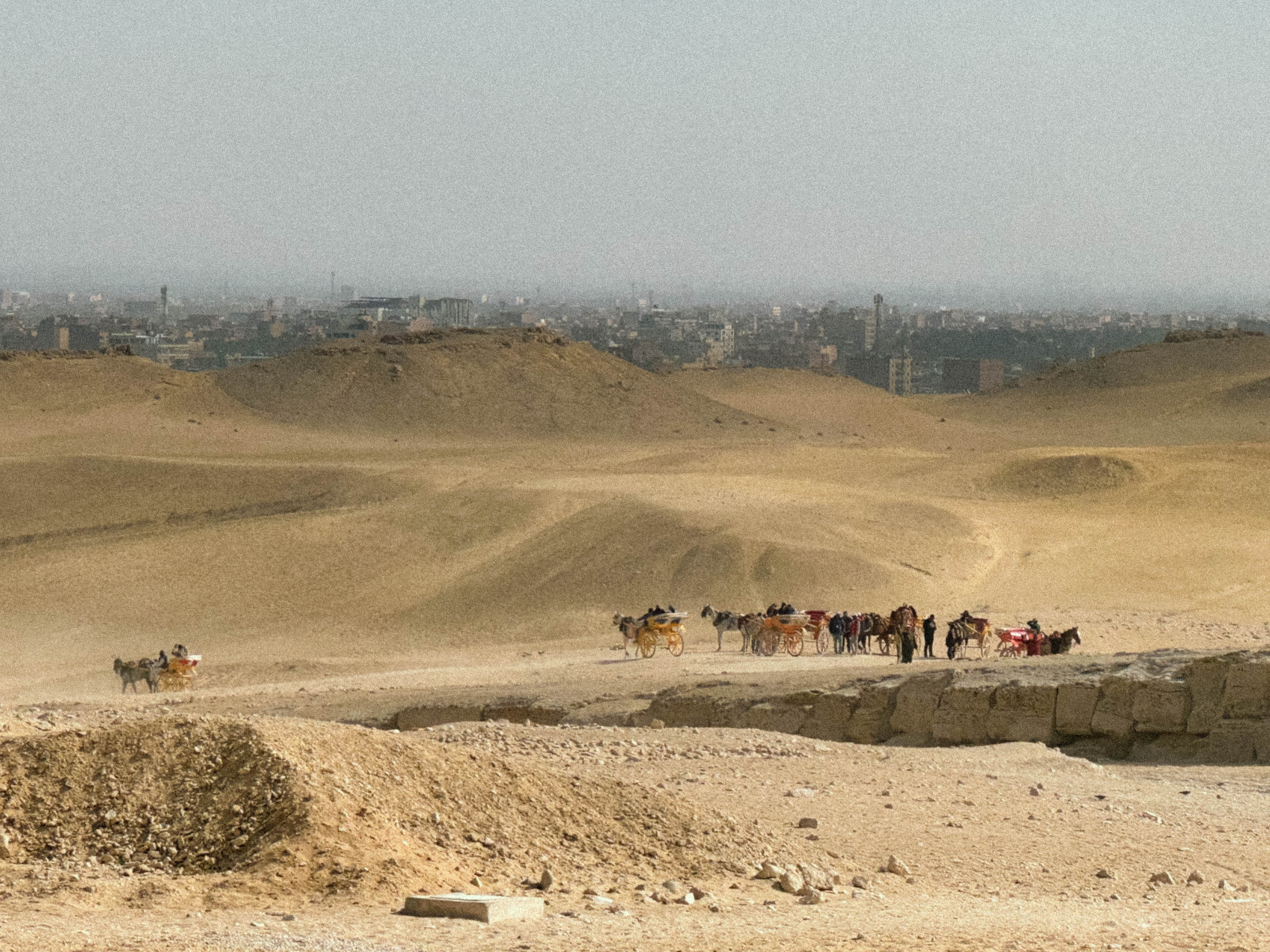 EGYPET. Фотограф в Челябинске Анастасия Синягина