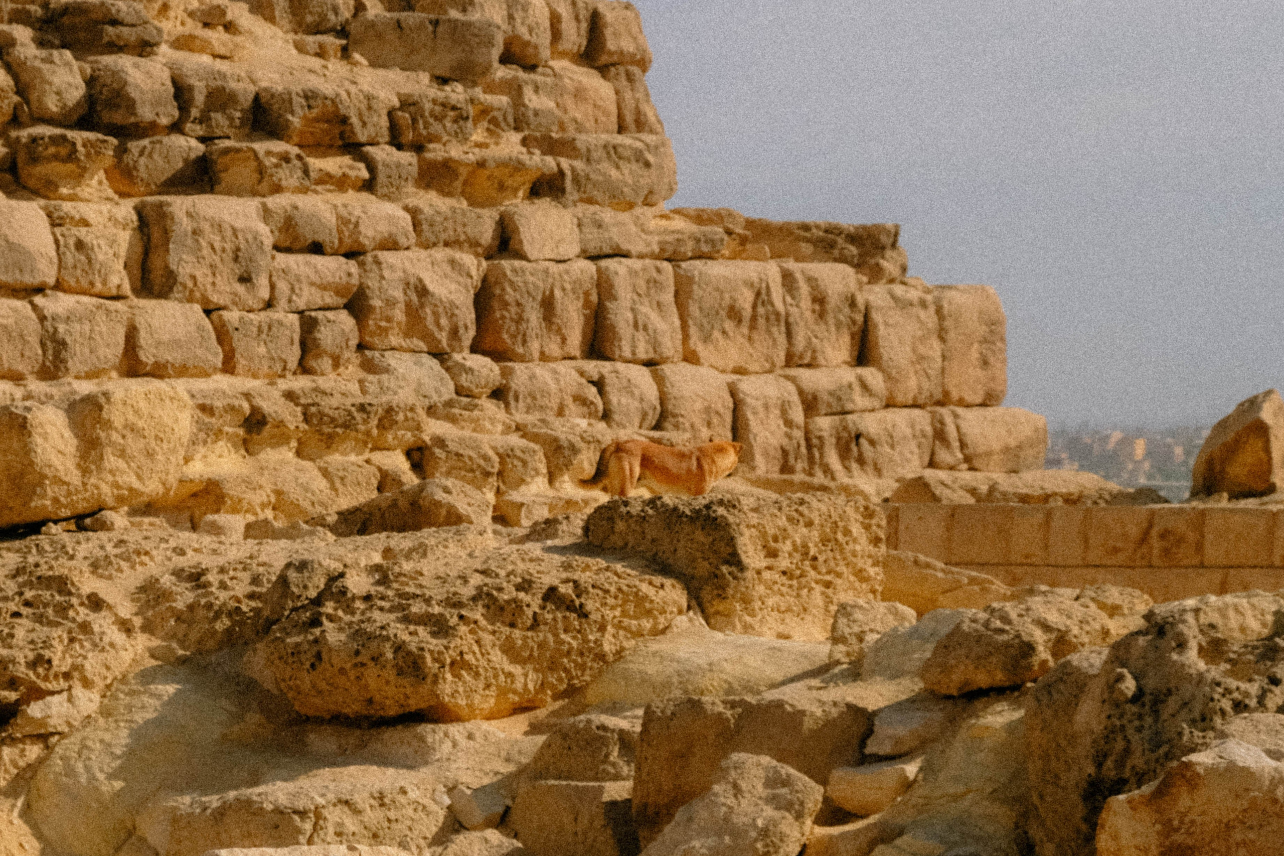 EGYPET. Фотограф в Челябинске Анастасия Синягина