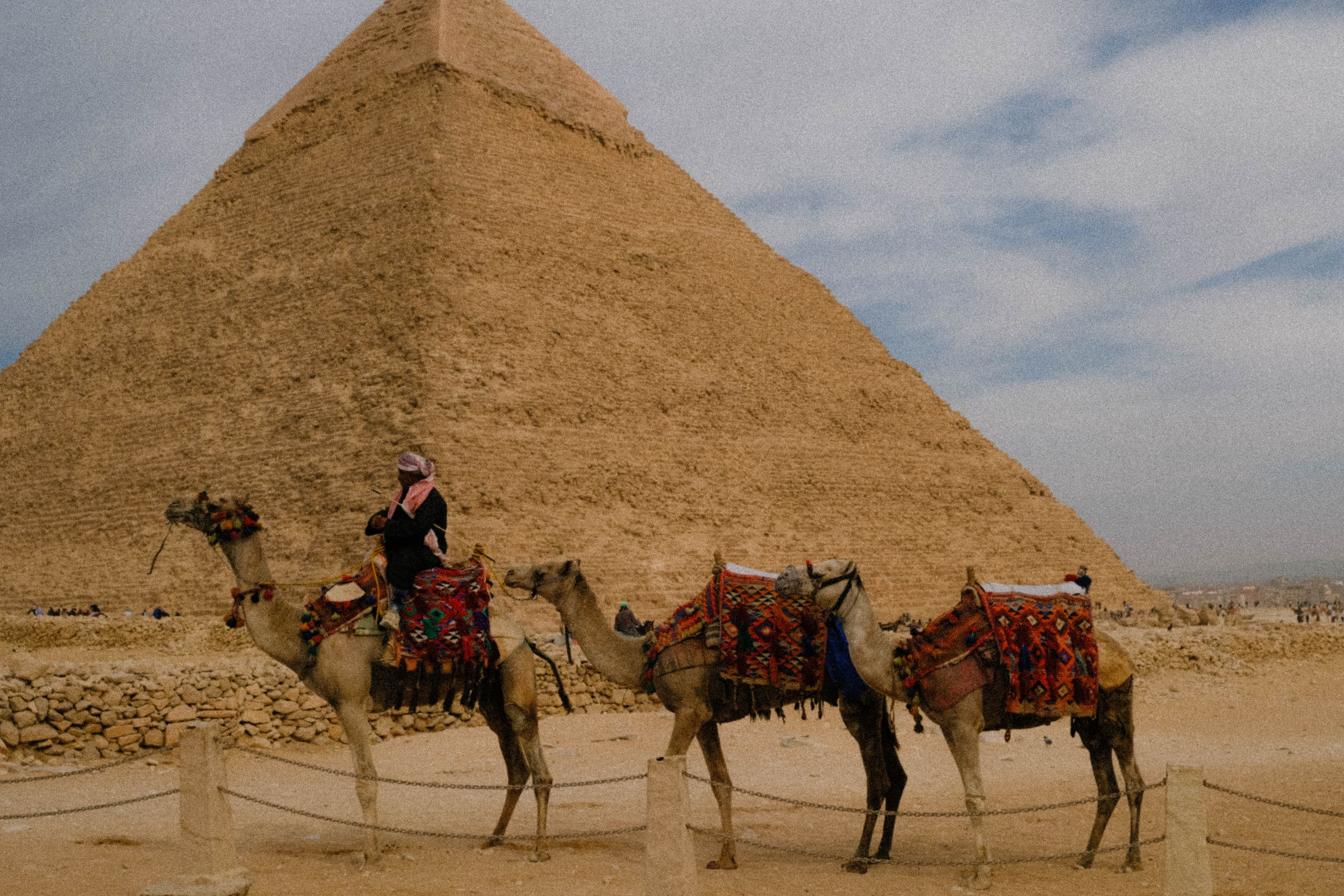 EGYPET. Фотограф в Челябинске Анастасия Синягина