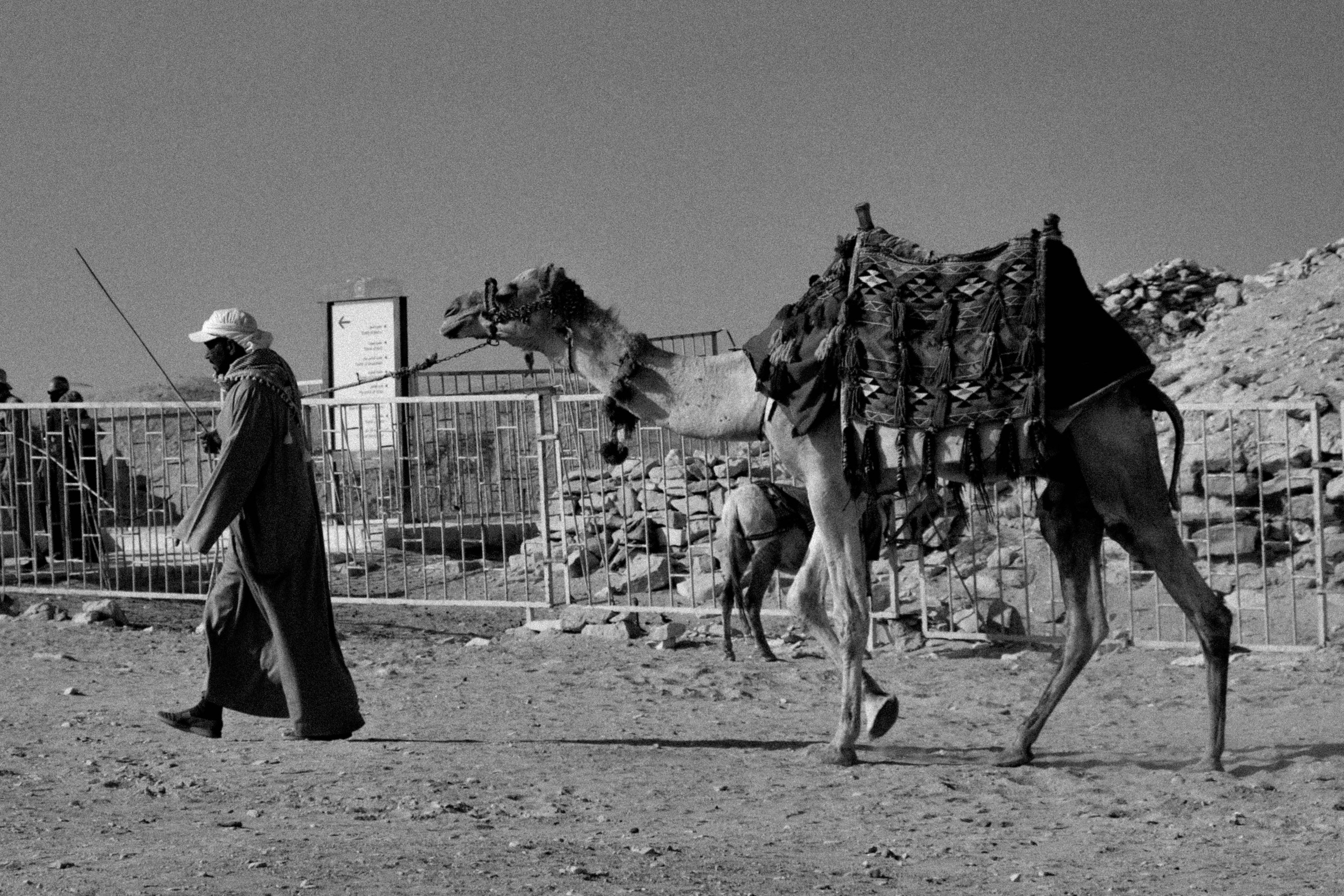 EGYPET. Фотограф в Челябинске Анастасия Синягина