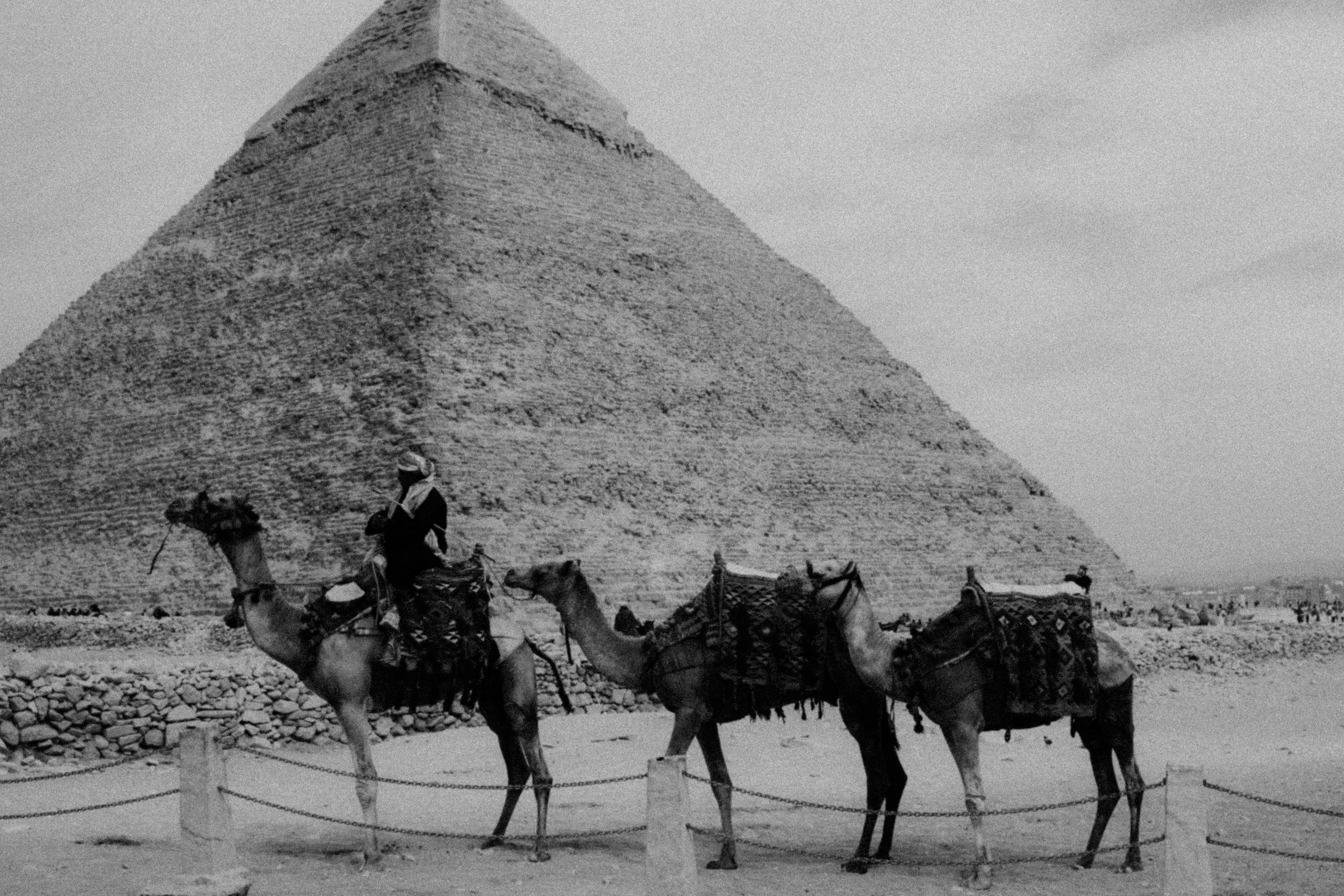 EGYPET. Фотограф в Челябинске Анастасия Синягина