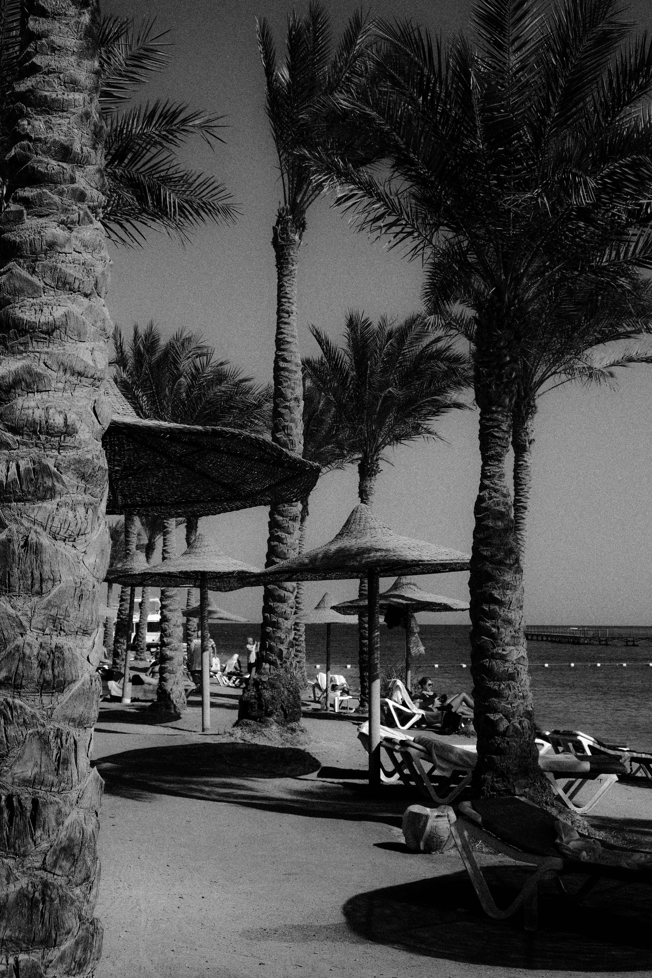 EGYPET. Фотограф в Челябинске Анастасия Синягина