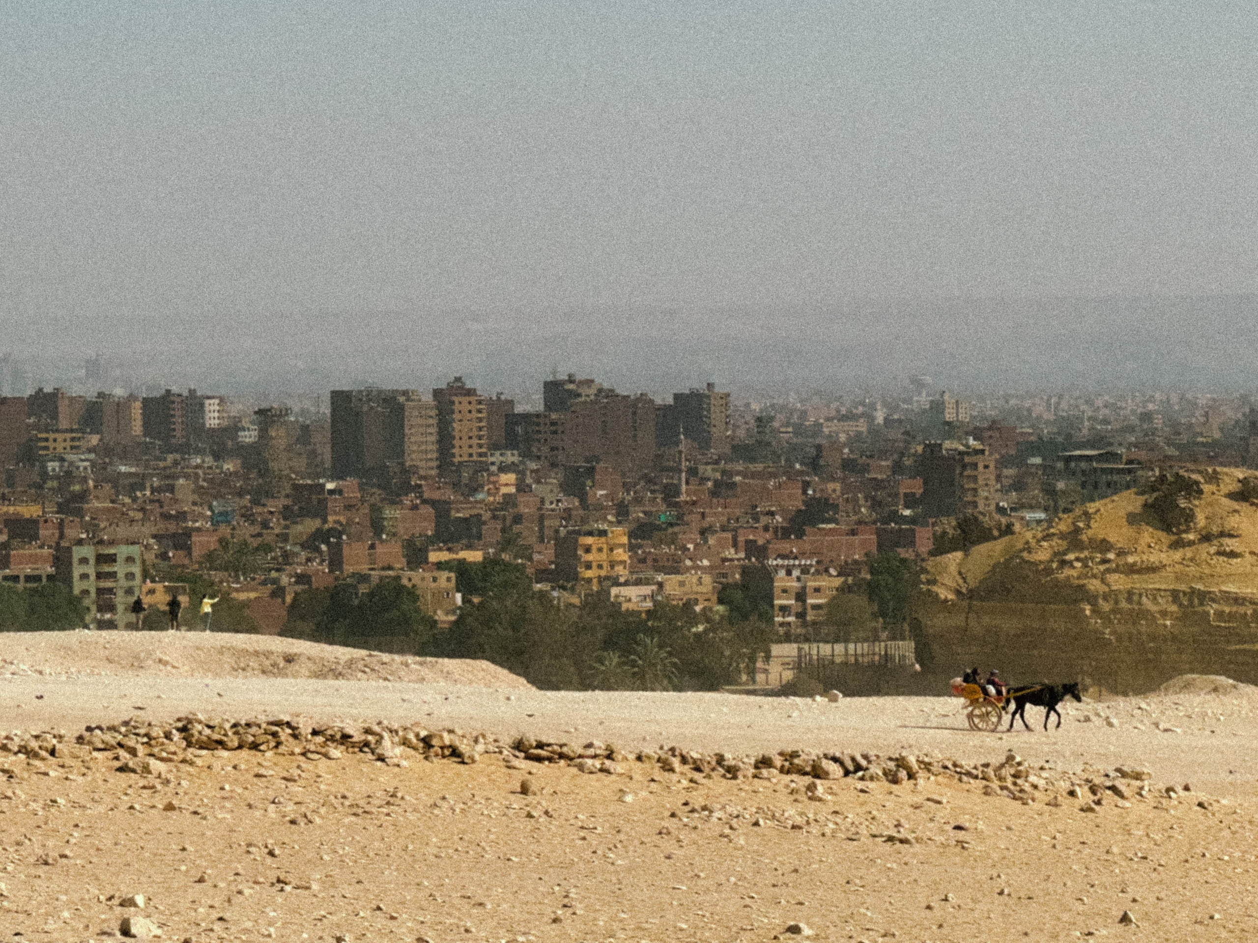 EGYPET. Фотограф в Челябинске Анастасия Синягина