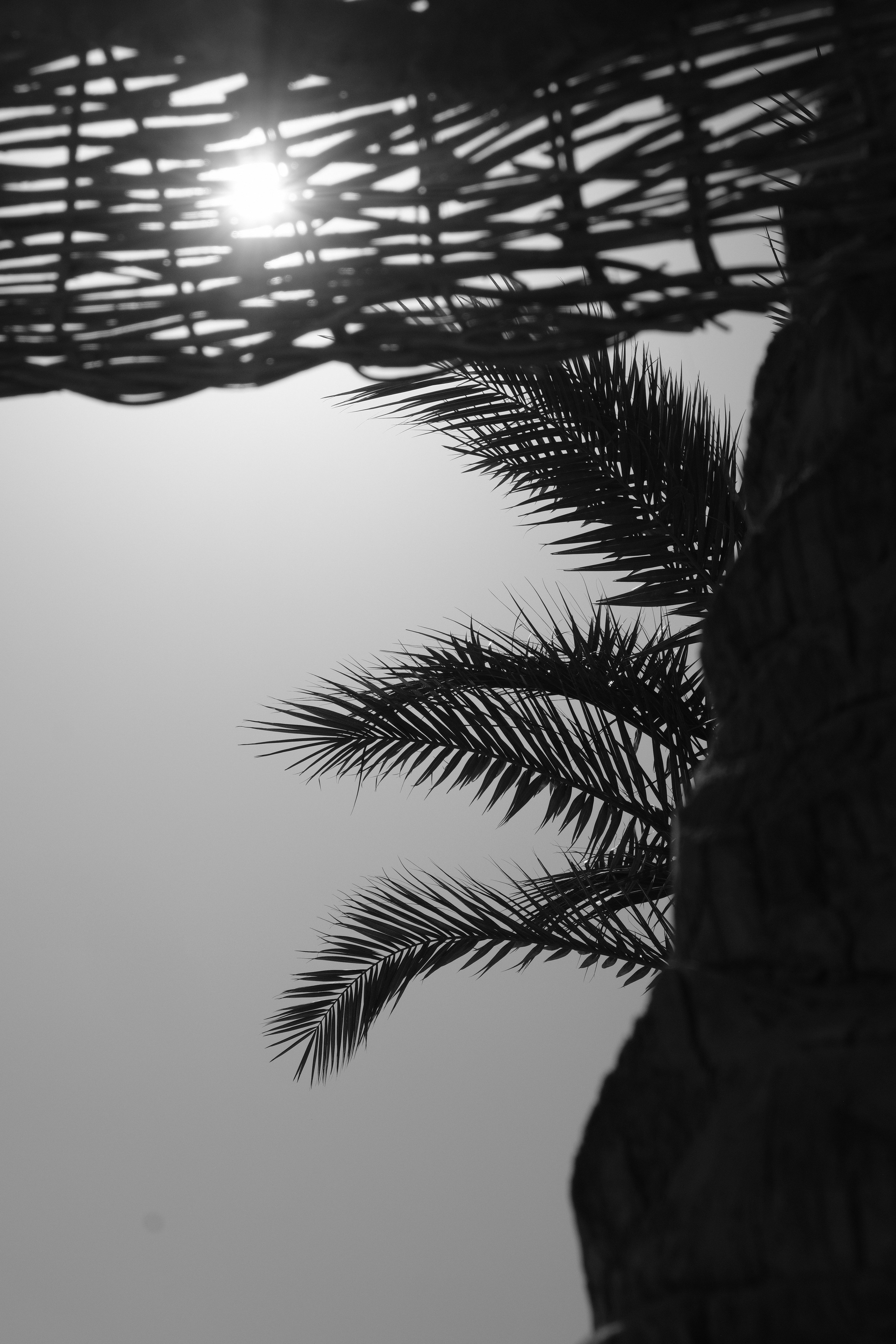 EGYPET. Фотограф в Челябинске Анастасия Синягина