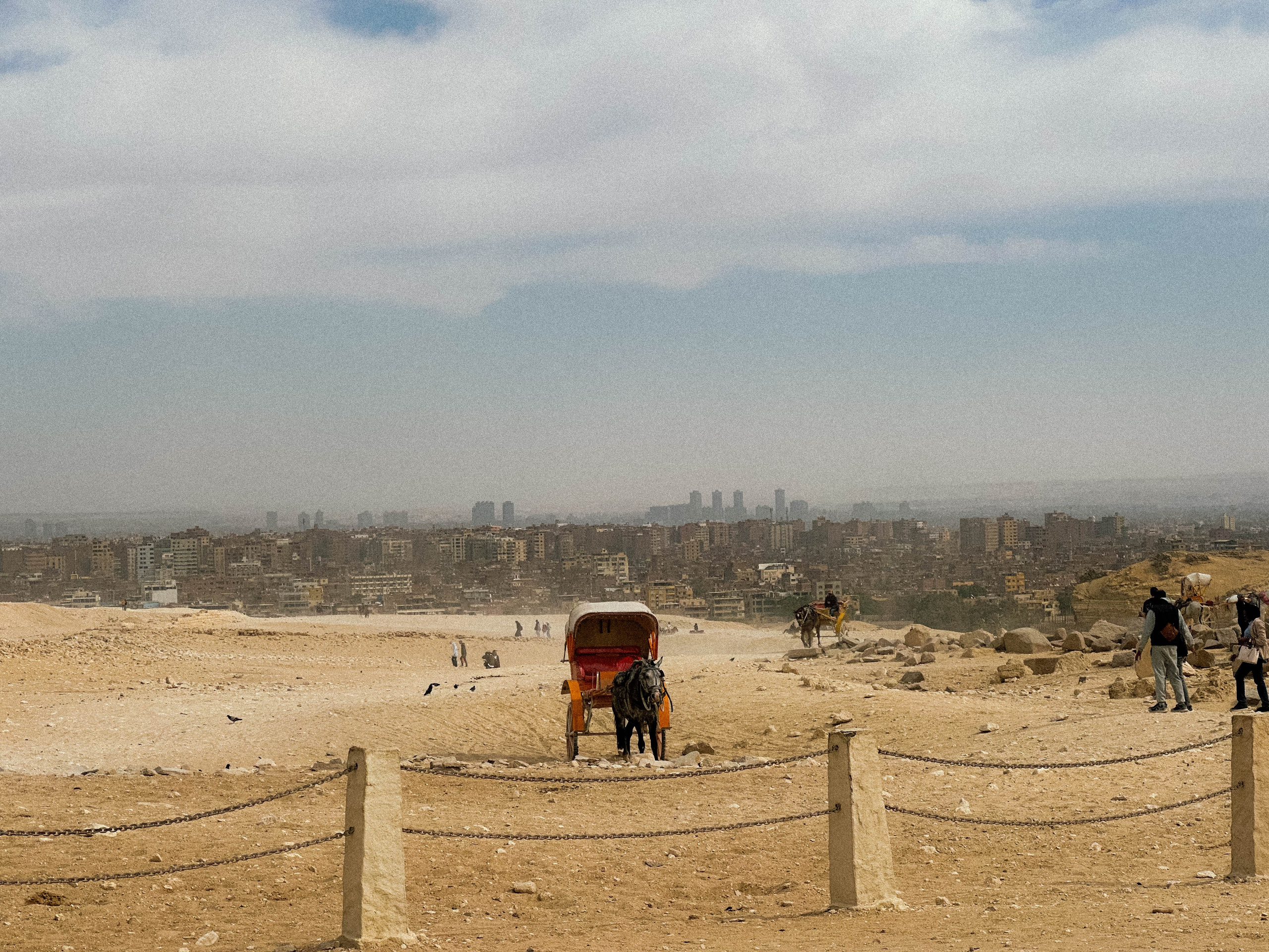 EGYPET. Фотограф в Челябинске Анастасия Синягина