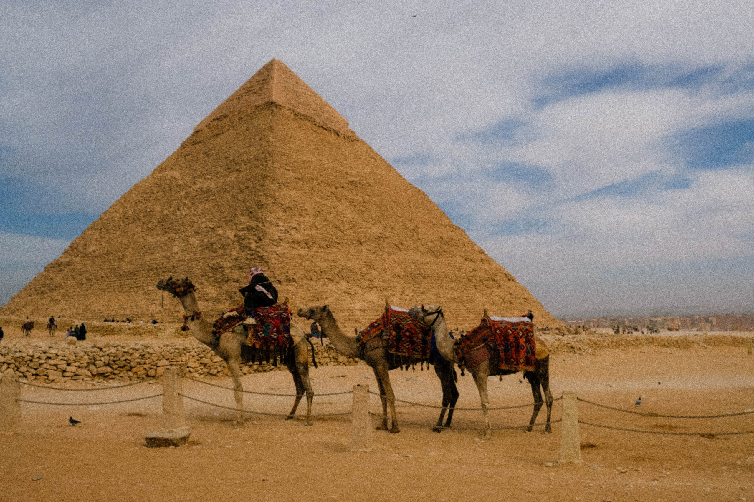 EGYPET. Фотограф в Челябинске Анастасия Синягина