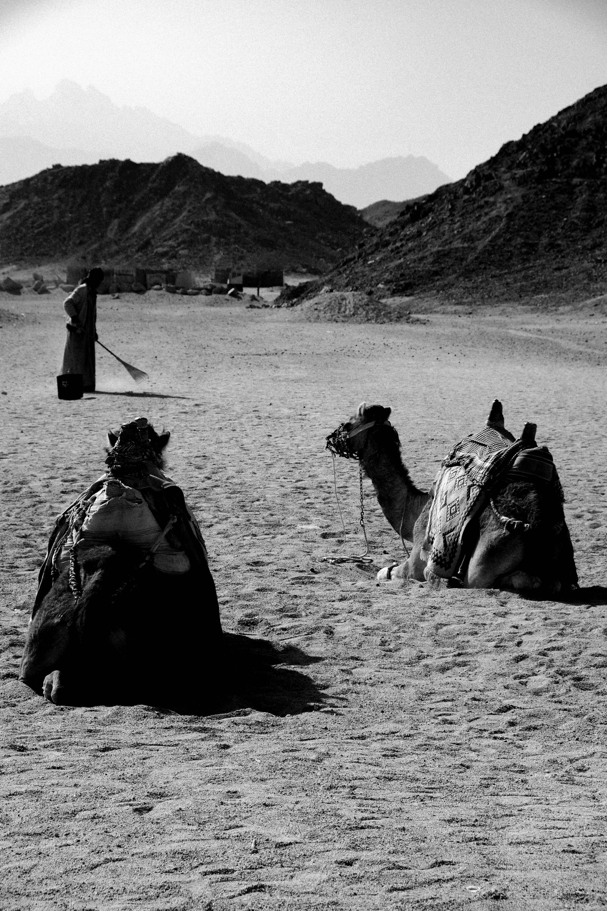EGYPET. Фотограф в Челябинске Анастасия Синягина