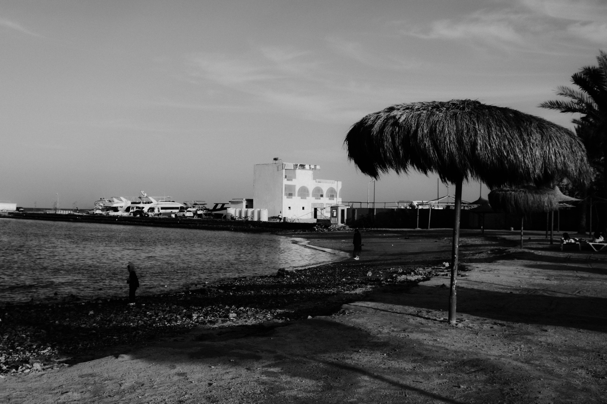 EGYPET. Фотограф в Челябинске Анастасия Синягина