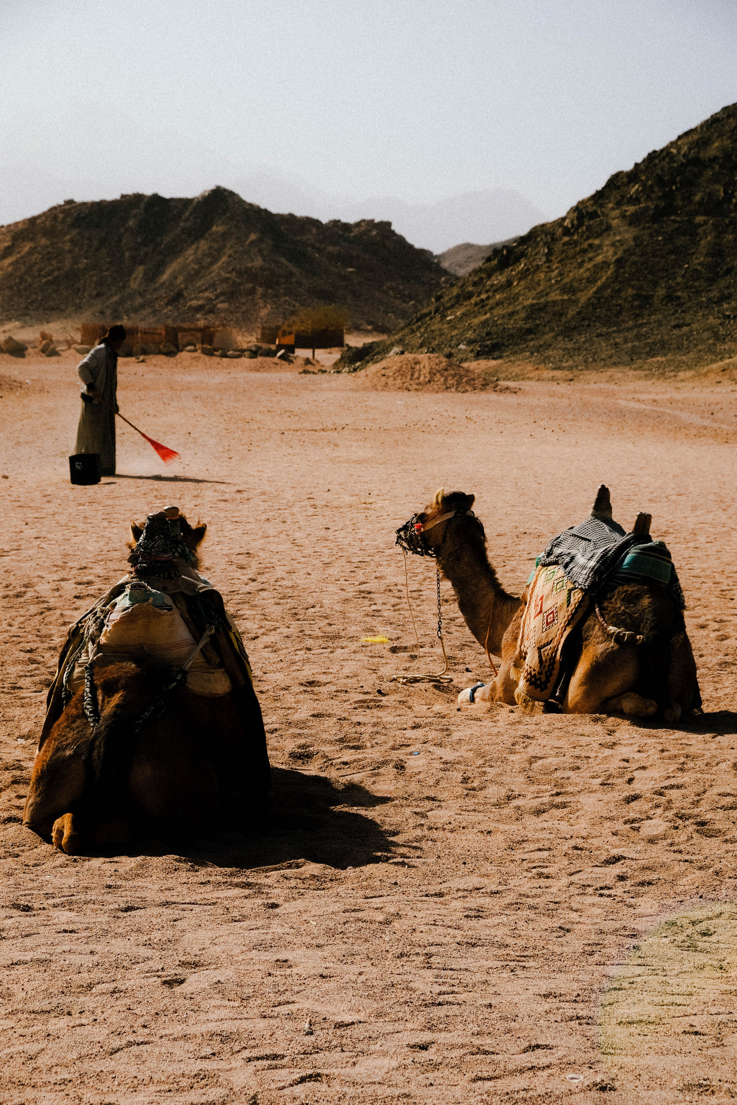 EGYPET. Фотограф в Челябинске Анастасия Синягина