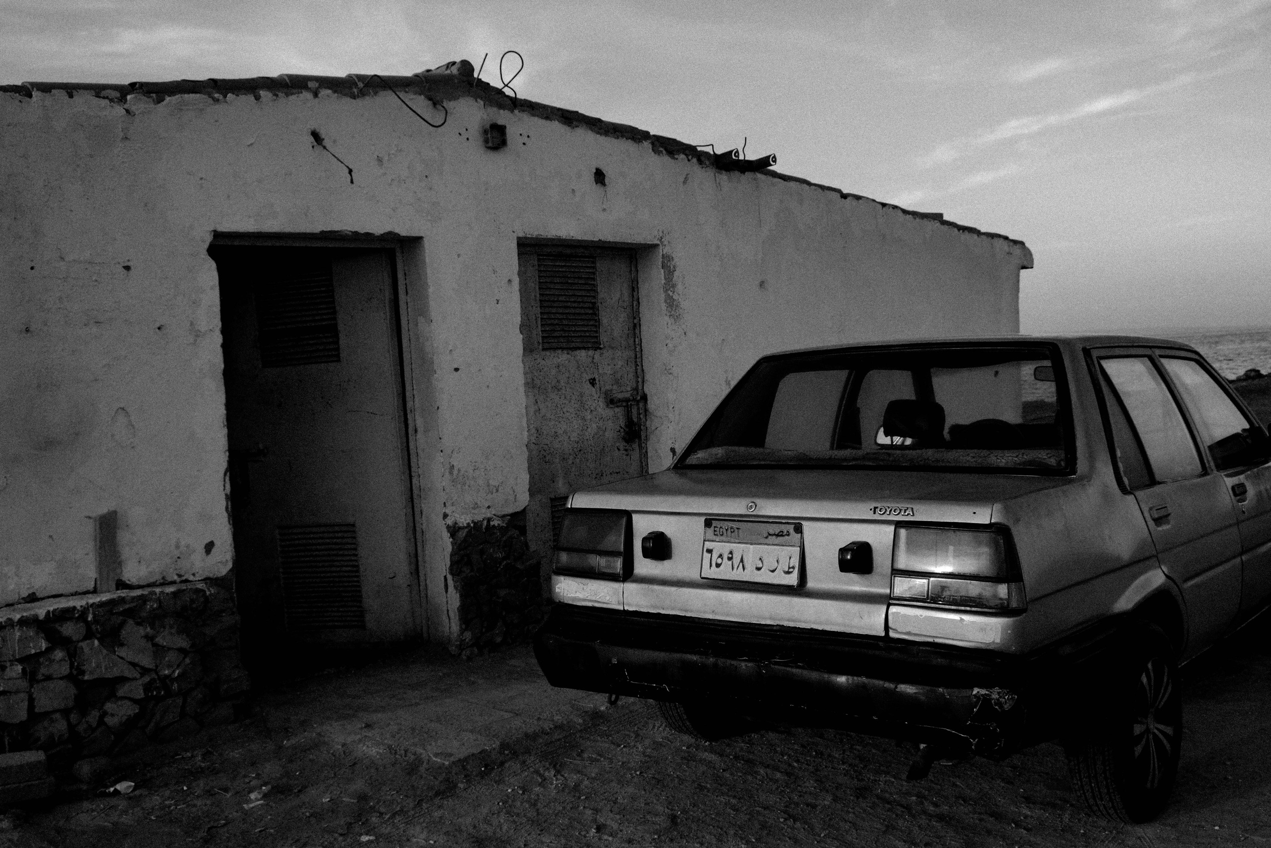 EGYPET. Фотограф в Челябинске Анастасия Синягина