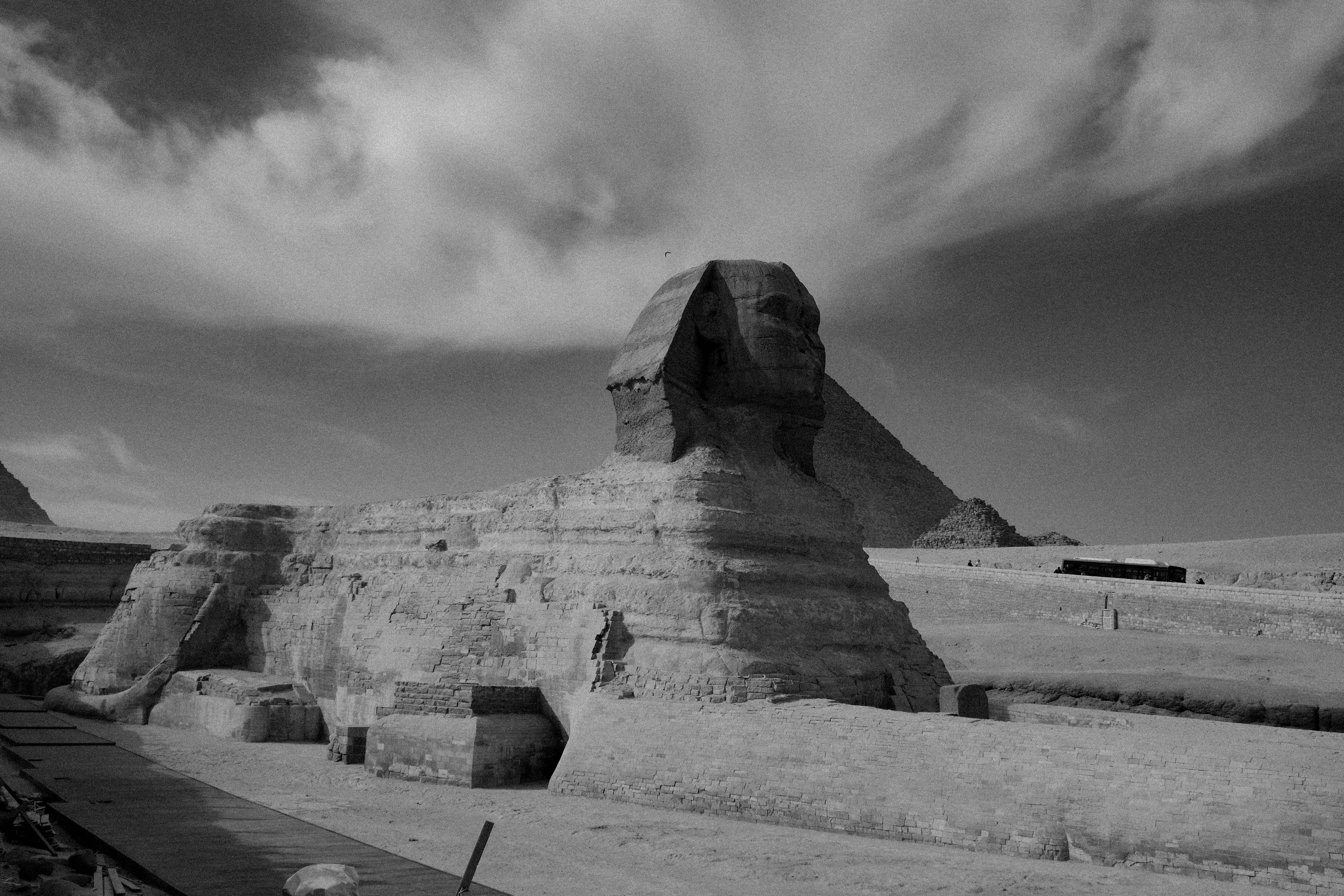 EGYPET. Фотограф в Челябинске Анастасия Синягина