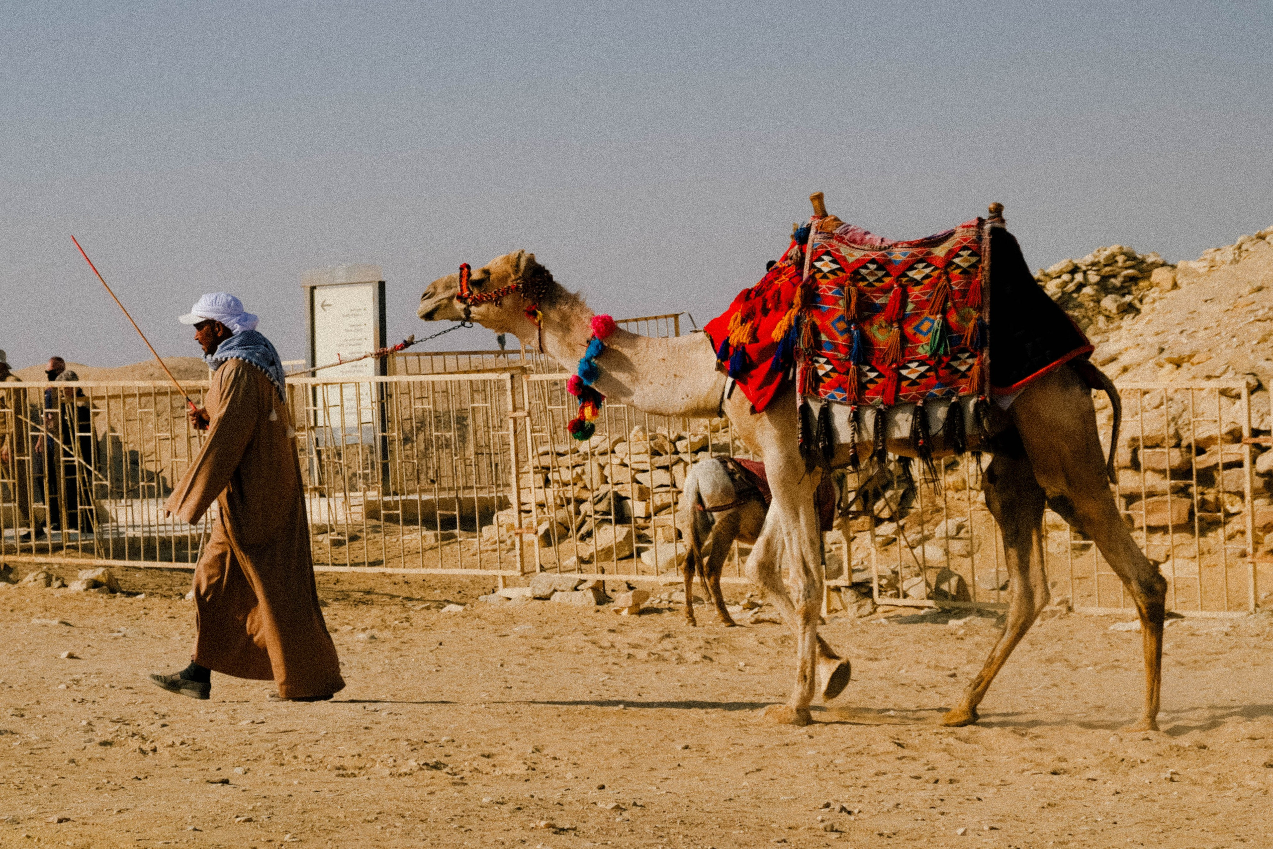 EGYPET. Фотограф в Челябинске Анастасия Синягина