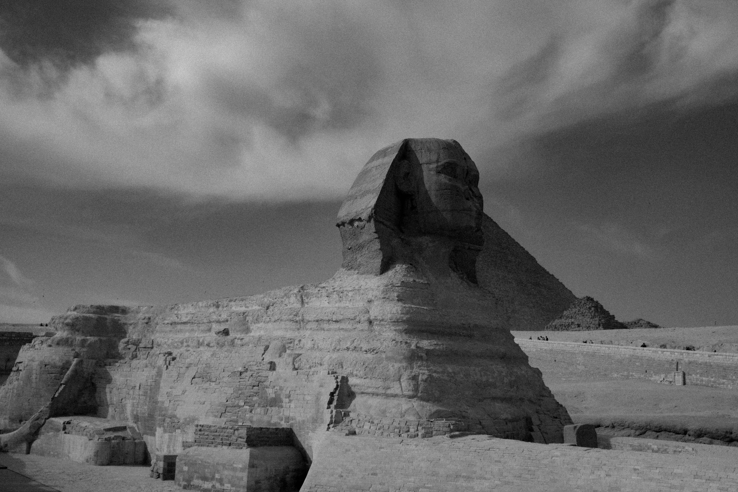 EGYPET. Фотограф в Челябинске Анастасия Синягина