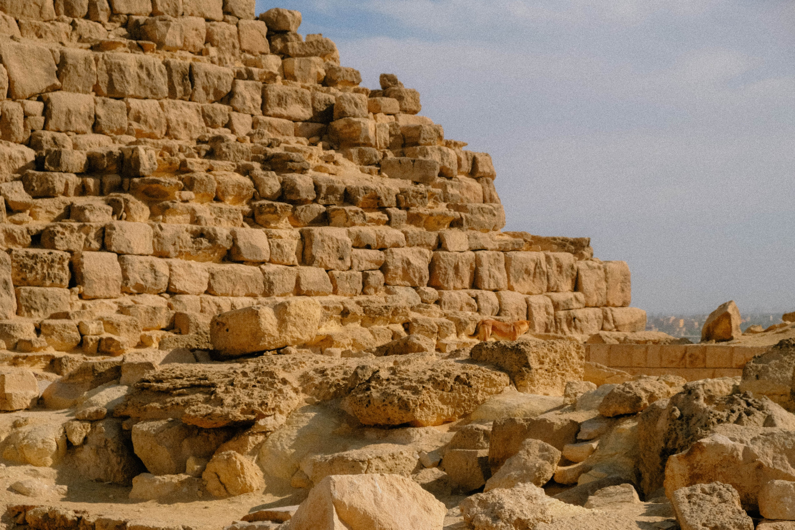 EGYPET. Фотограф в Челябинске Анастасия Синягина