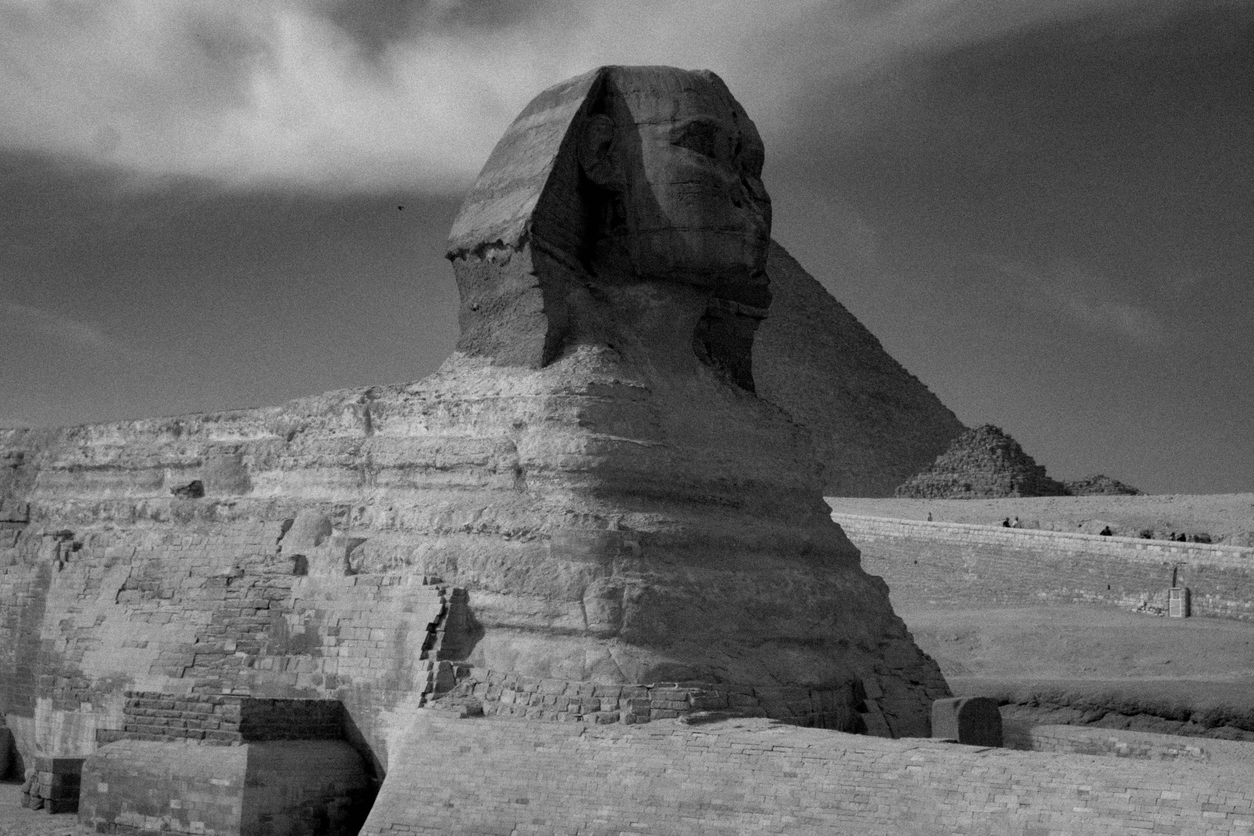 EGYPET. Фотограф в Челябинске Анастасия Синягина