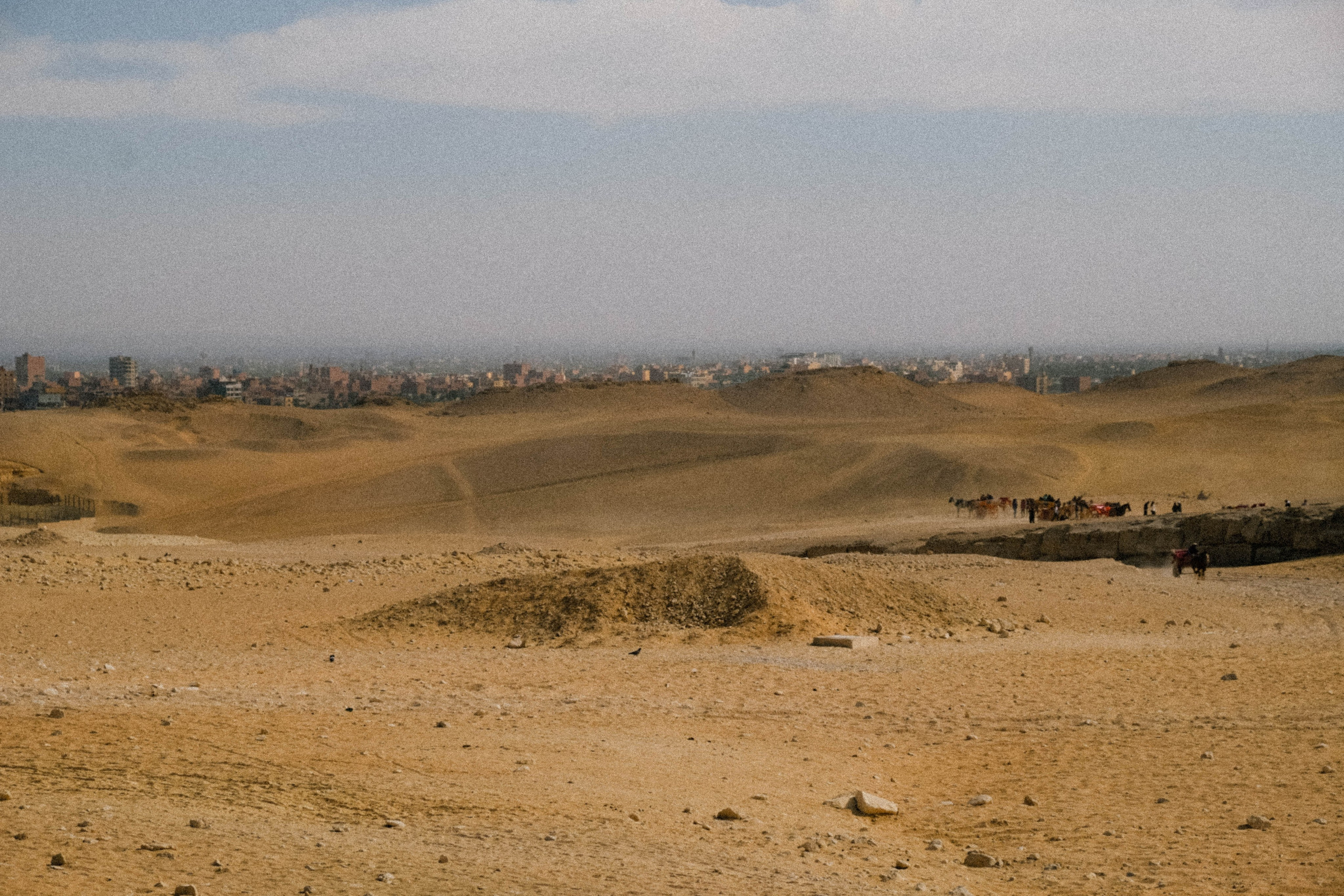 EGYPET. Фотограф в Челябинске Анастасия Синягина