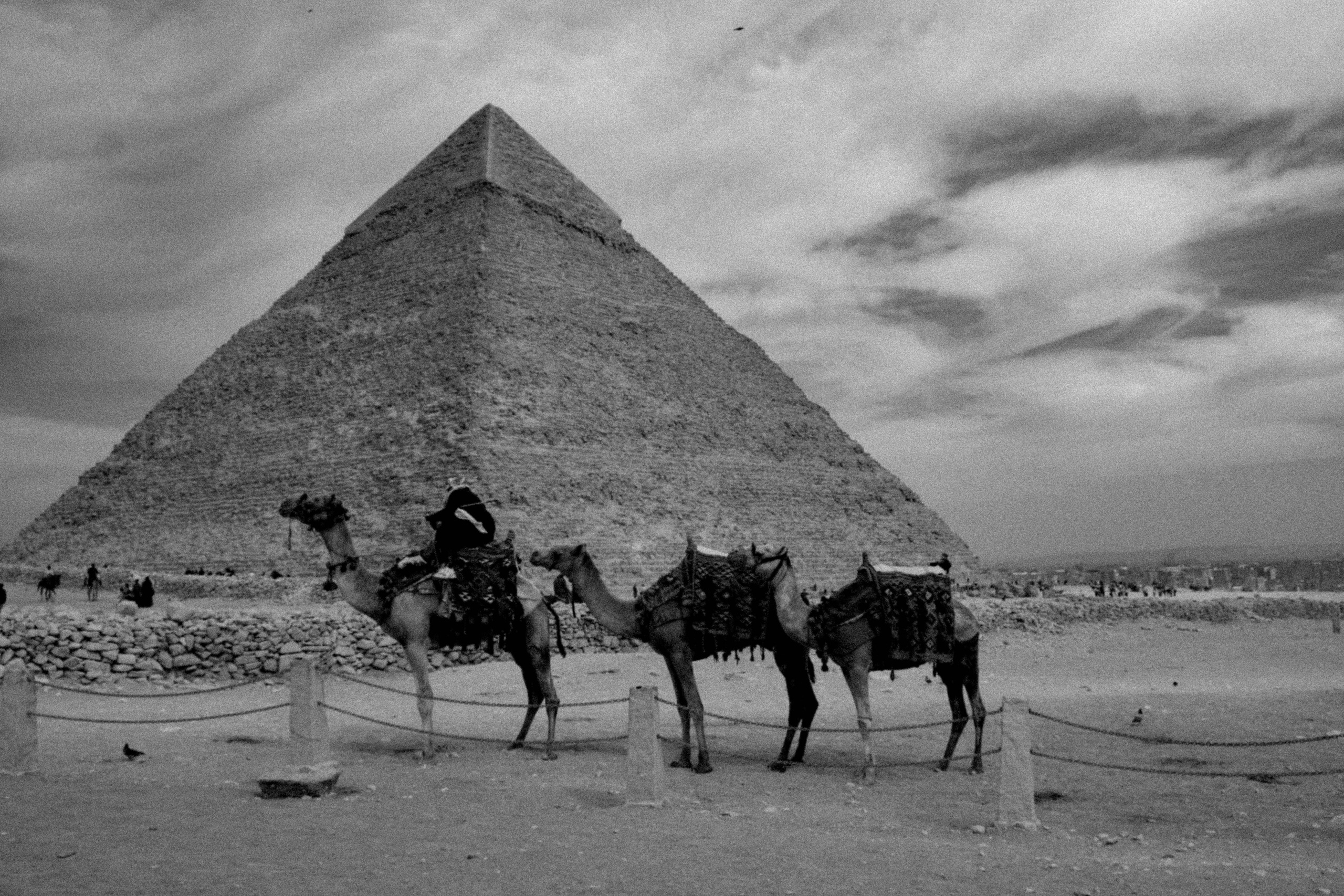 EGYPET. Фотограф в Челябинске Анастасия Синягина