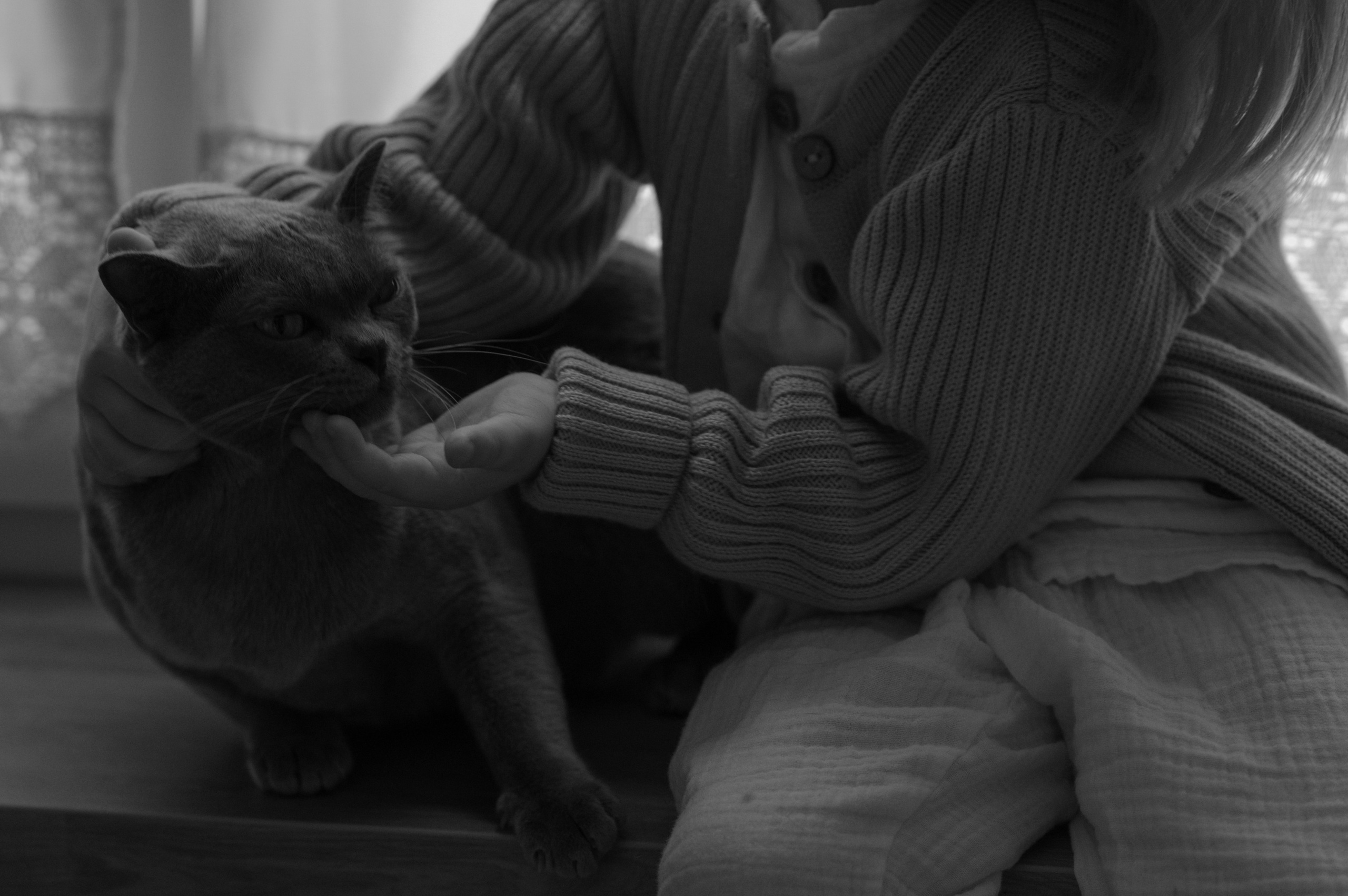 Дома. Фотограф Ким Ангелина