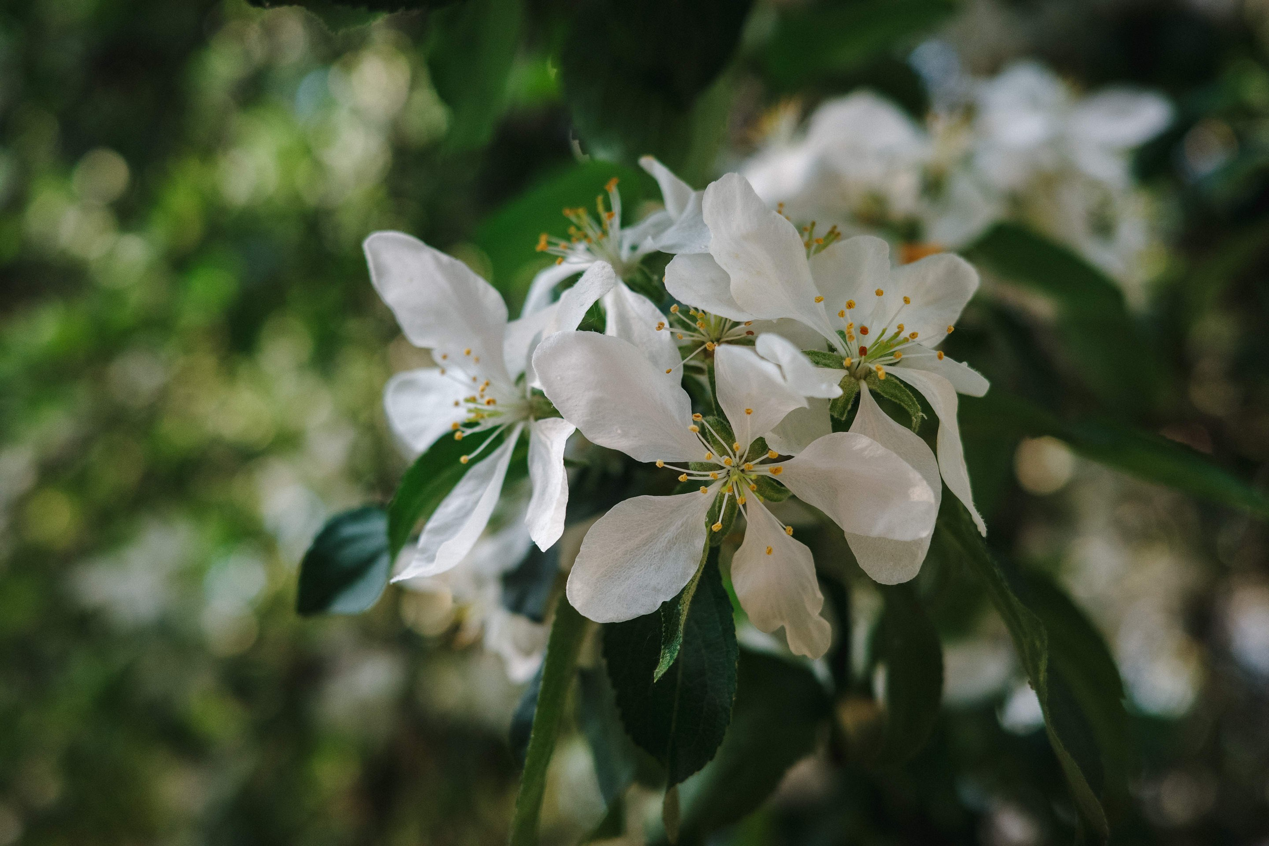 2024.05. Фотограф Алексей Алексеев