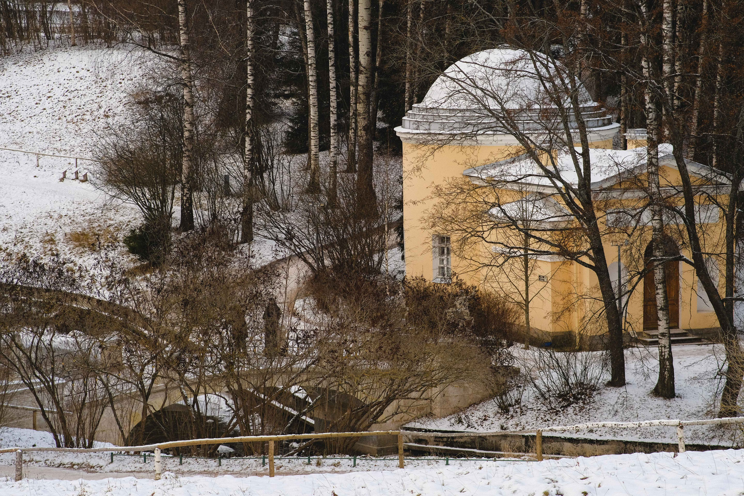 2022.11. Фотограф Алексей Алексеев