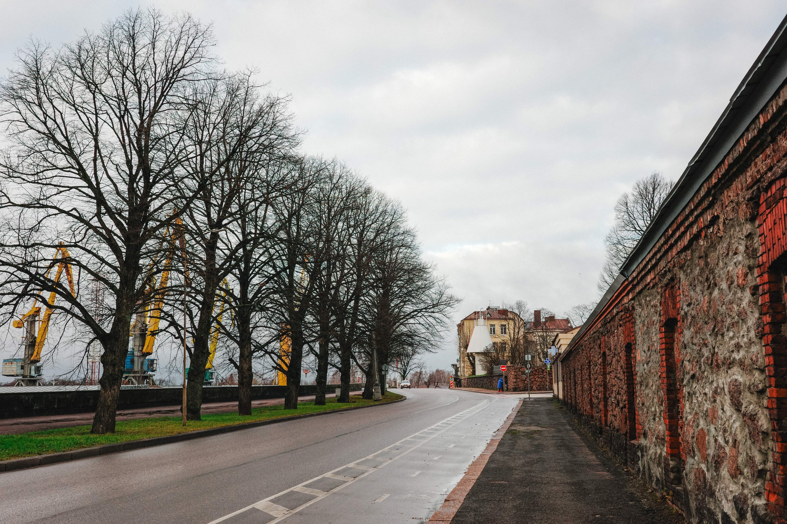 2024.11. Фотограф Алексей Алексеев