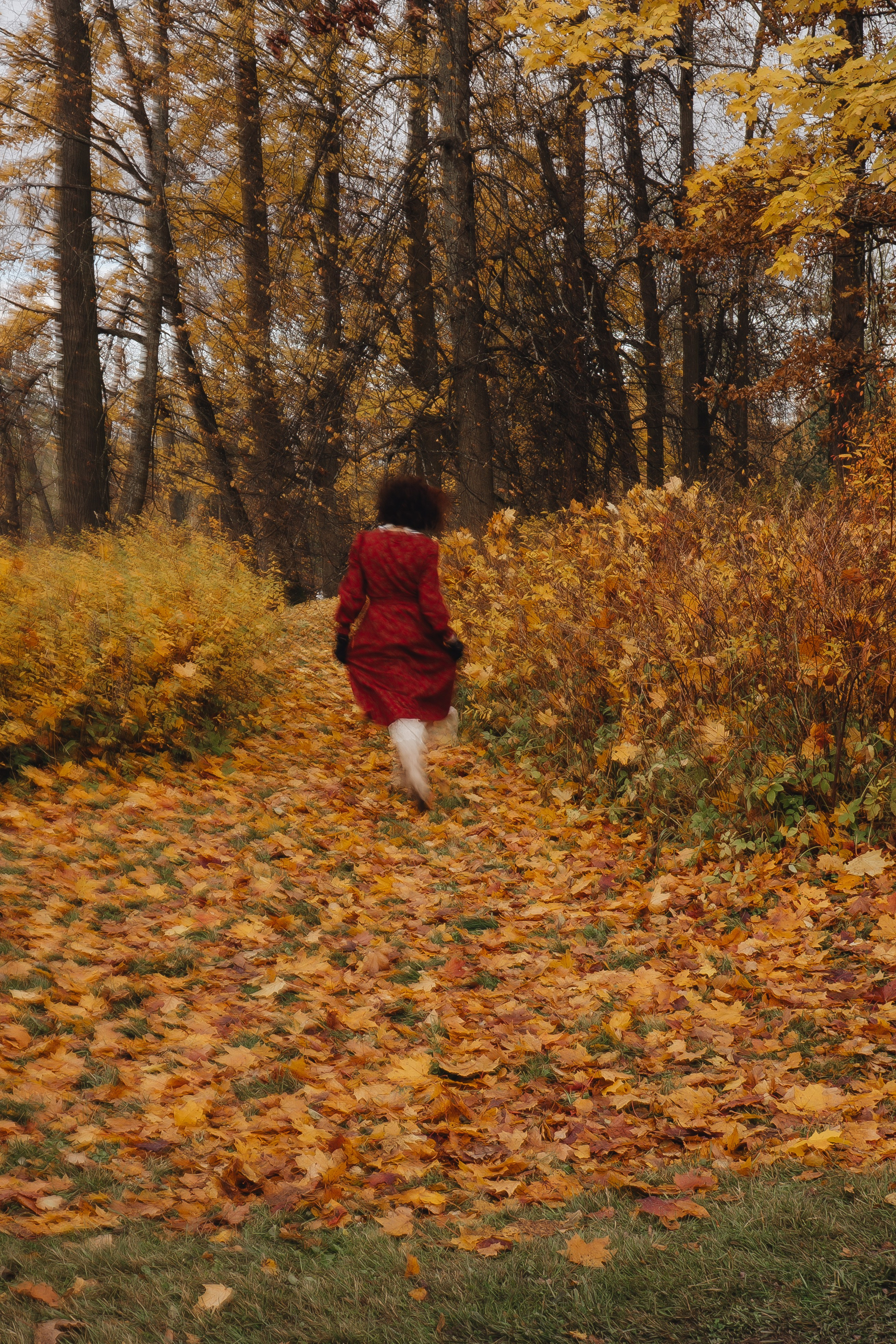 Осенний парк. Профессиональный фотограф, Санкт-Петербург — Виктория Богомолова