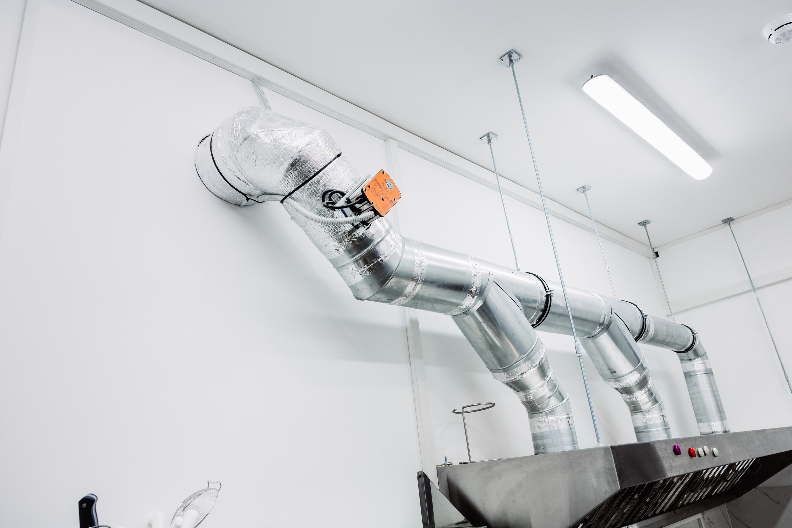 ЧЕБ И РЕК | РИО. ФОТОГРАФ ИРИНА ШАМАТАВА