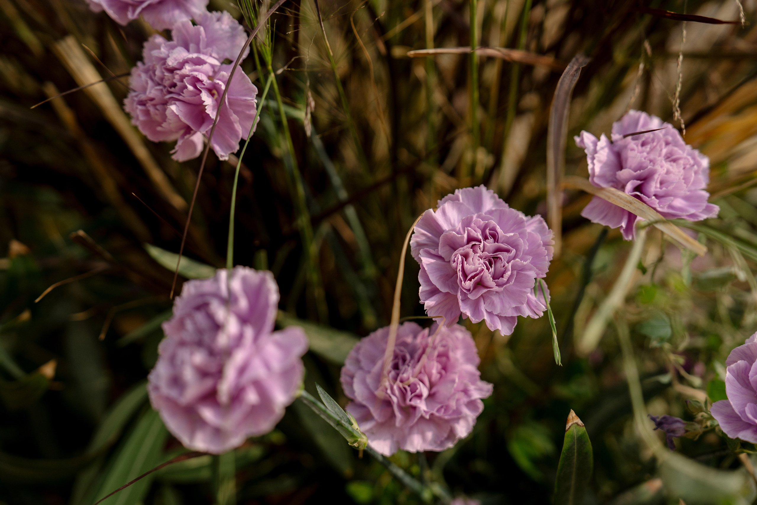 Андрей & Александра. Бодрум. Оформление свадеб, декор свадеб Вера Маркова, Москва