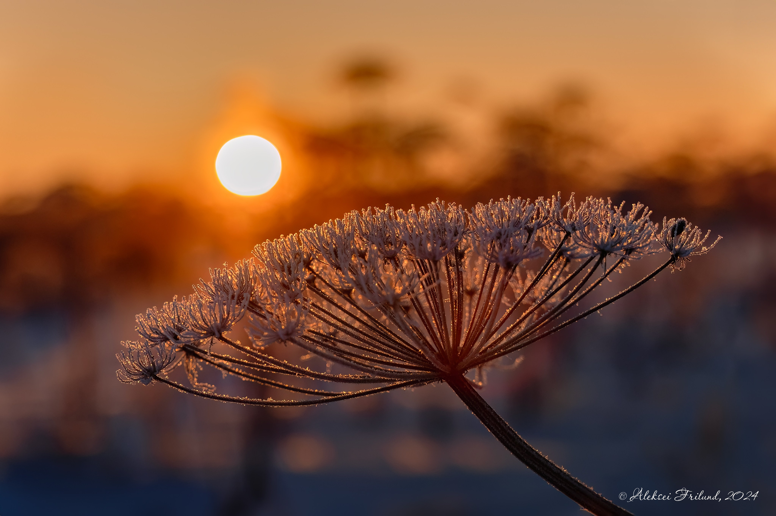 Разное. Аэросъемка. Фото и Видео в Карелии. Алексей Фрилунд
