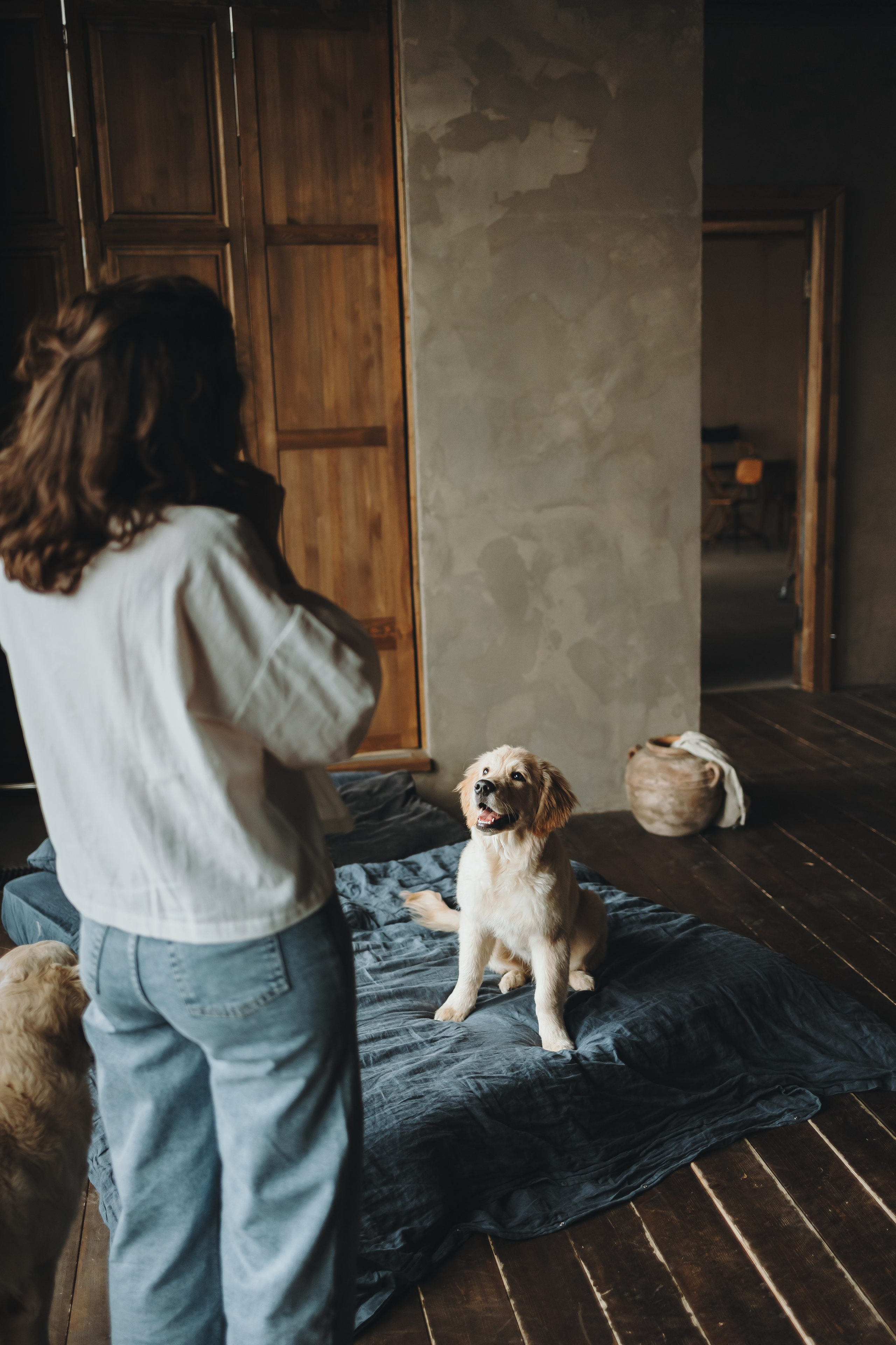 Настя, Арчи и Арагон. Фотограф-анималист в Санкт-Петербурге Алина Яхонт