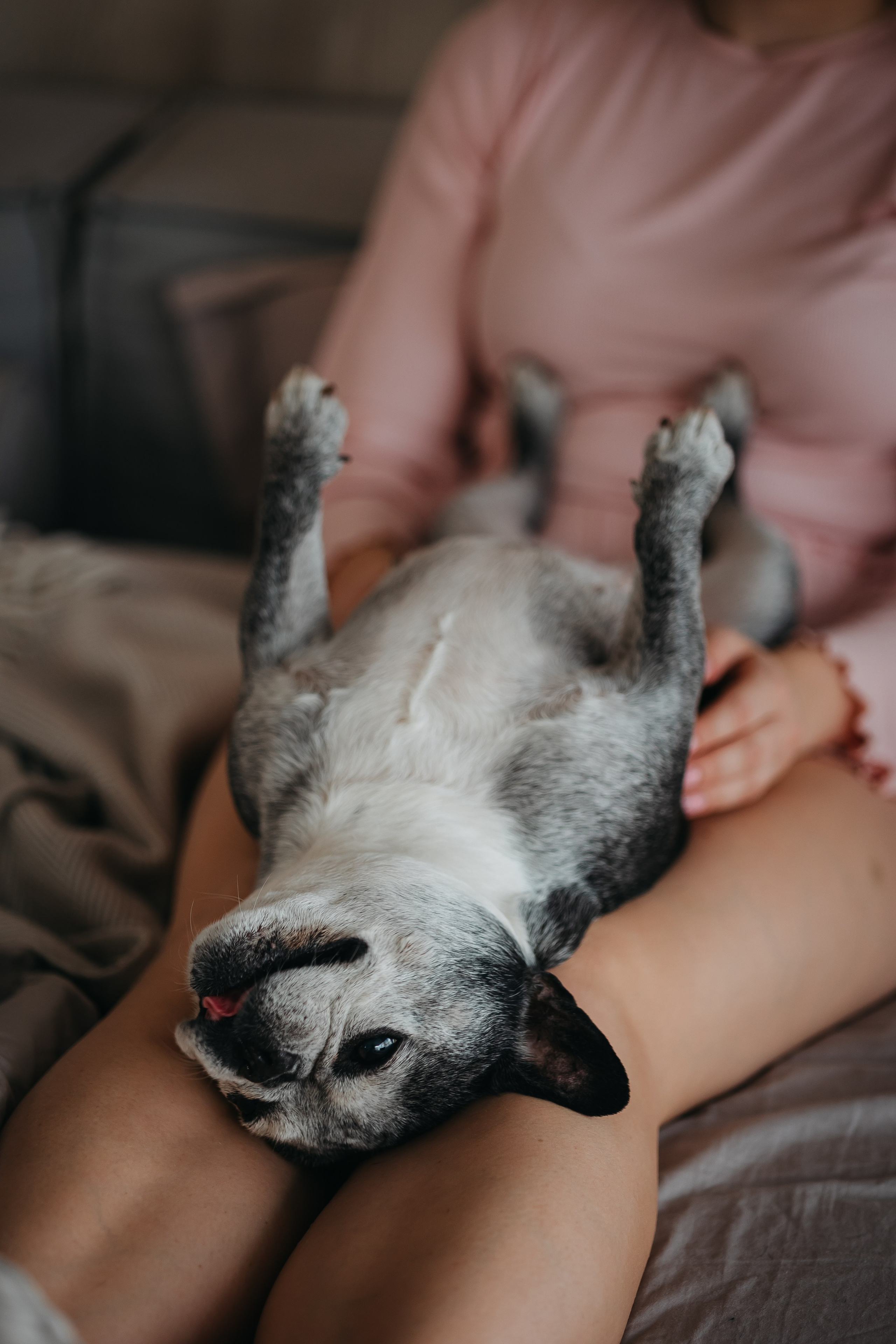 Марина и Джесс. Фотограф-анималист в Санкт-Петербурге Алина Яхонт